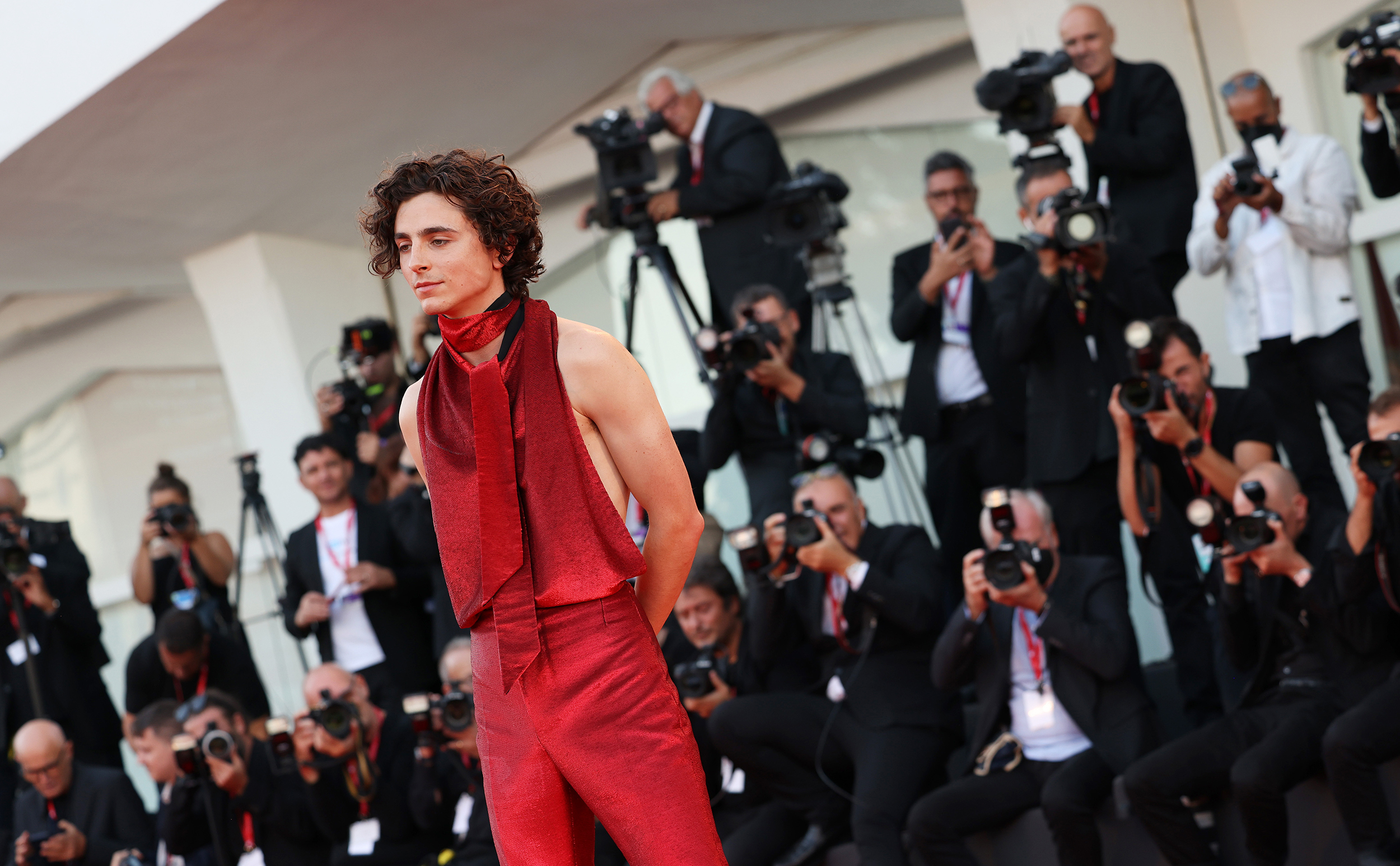 Timothee Chalamet photo #1045846