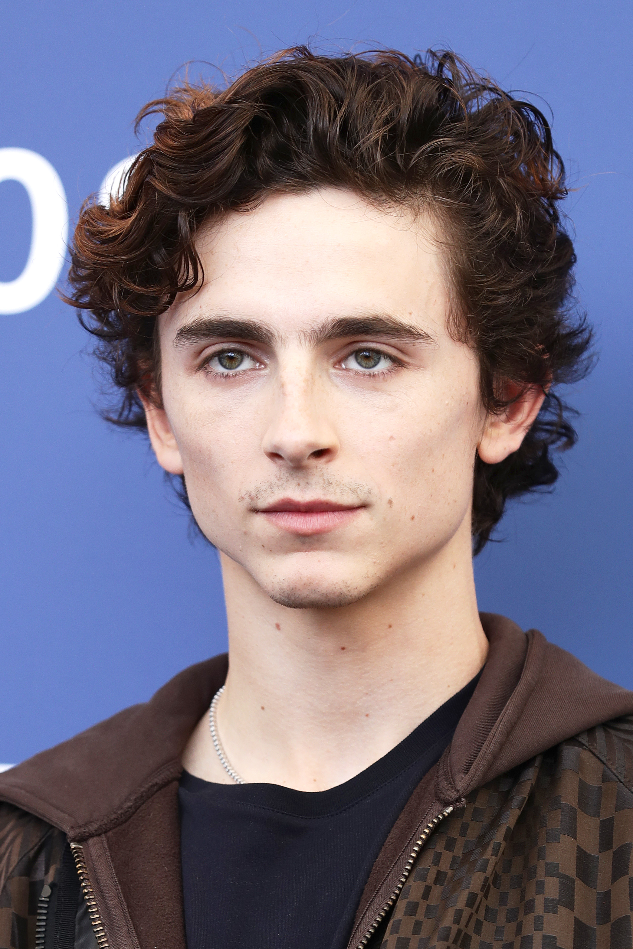 Timothee Chalamet photo #1052289