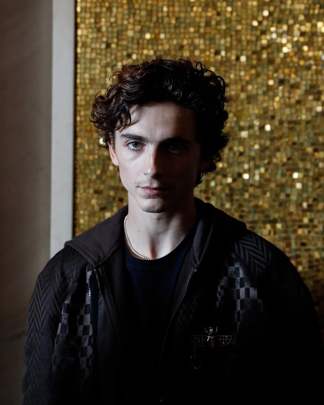 Timothee Chalamet photo #1044742