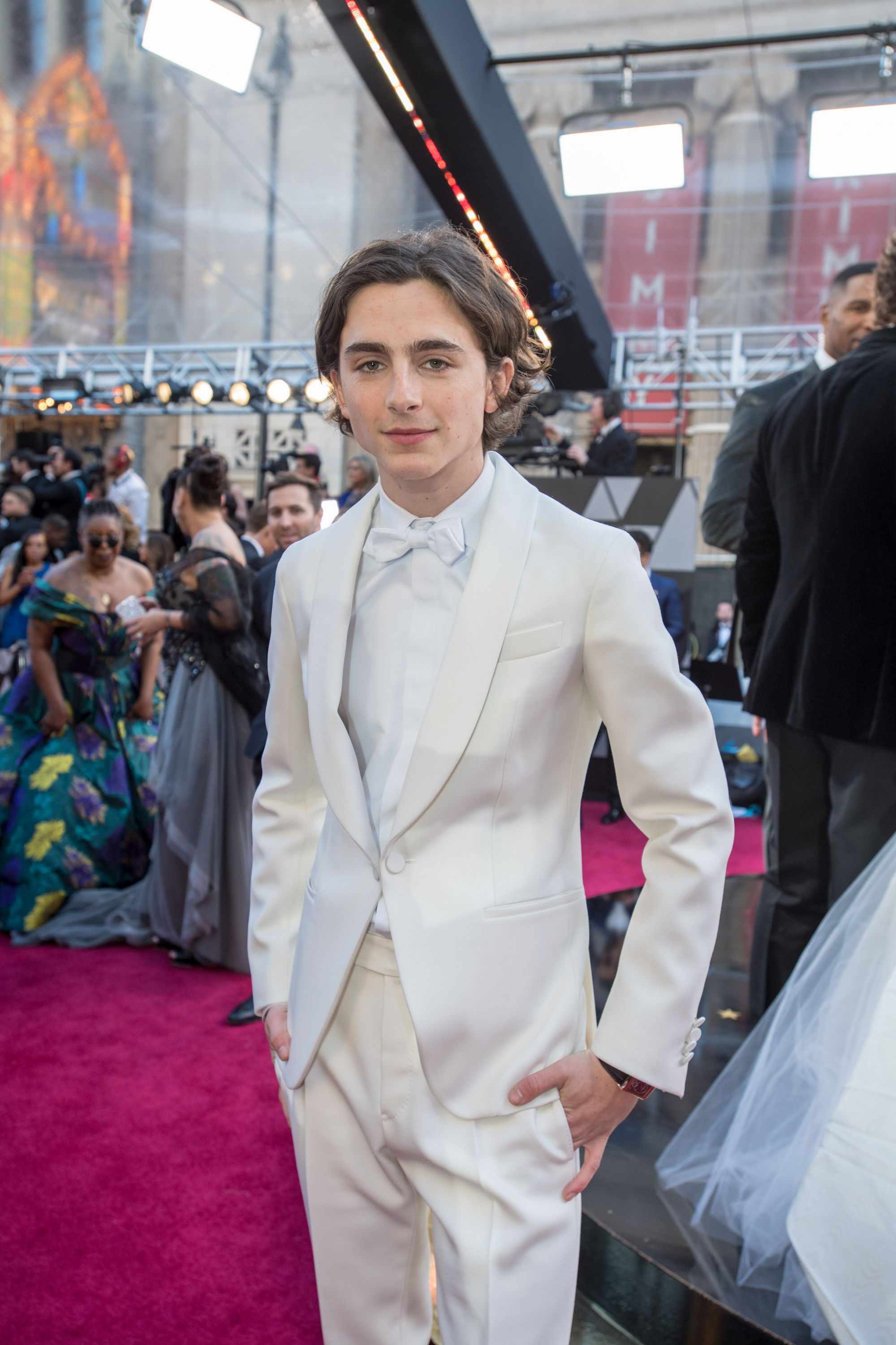 Timothee Chalamet photo #1048056