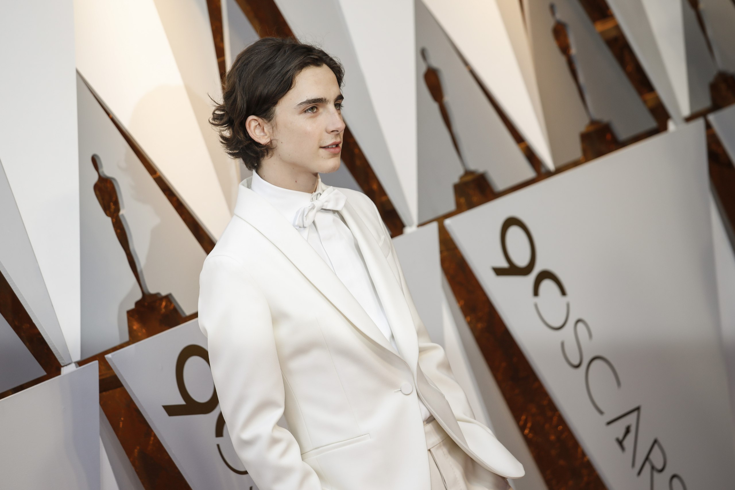 Timothee Chalamet photo #1048058