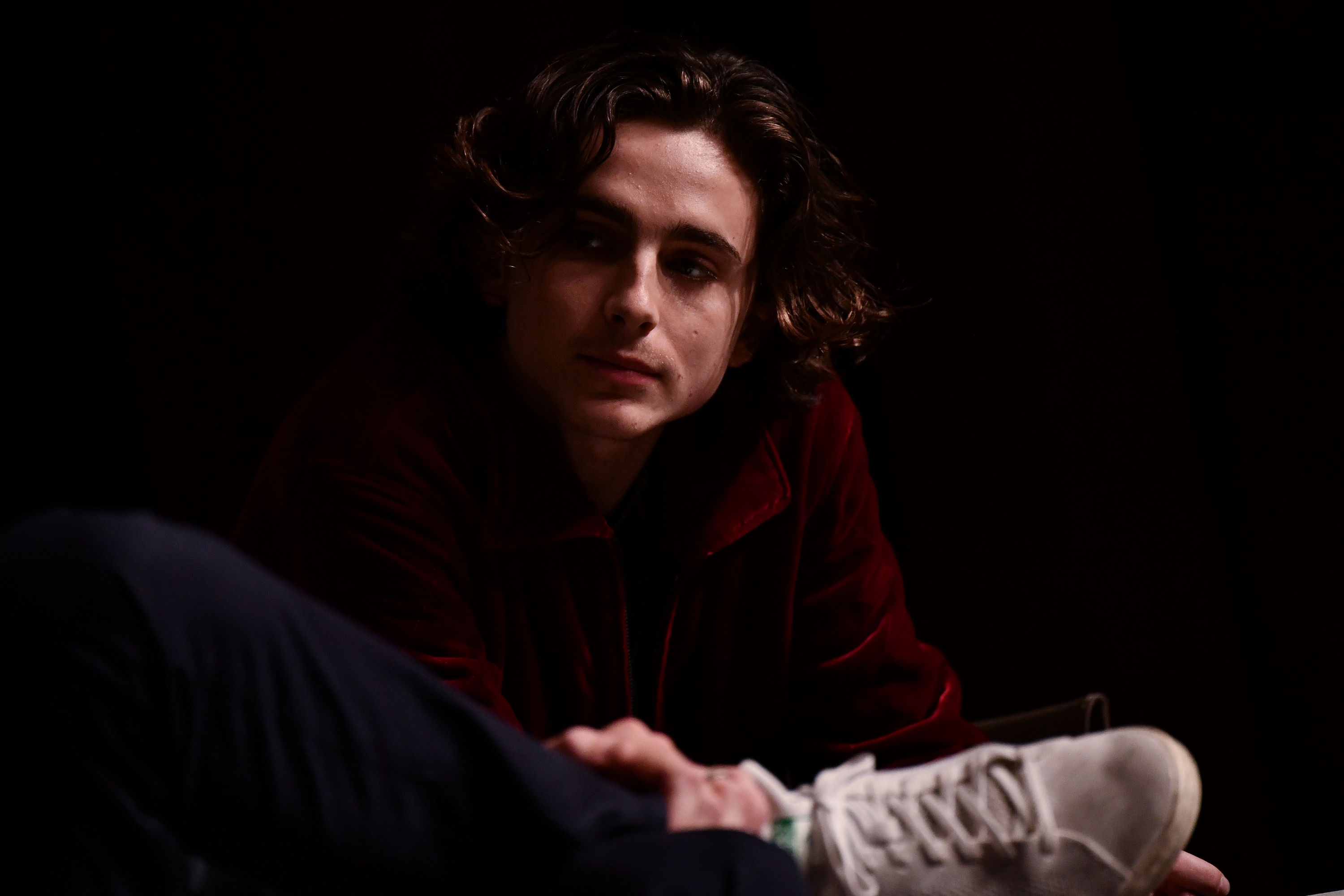 Timothee Chalamet photo #1050786