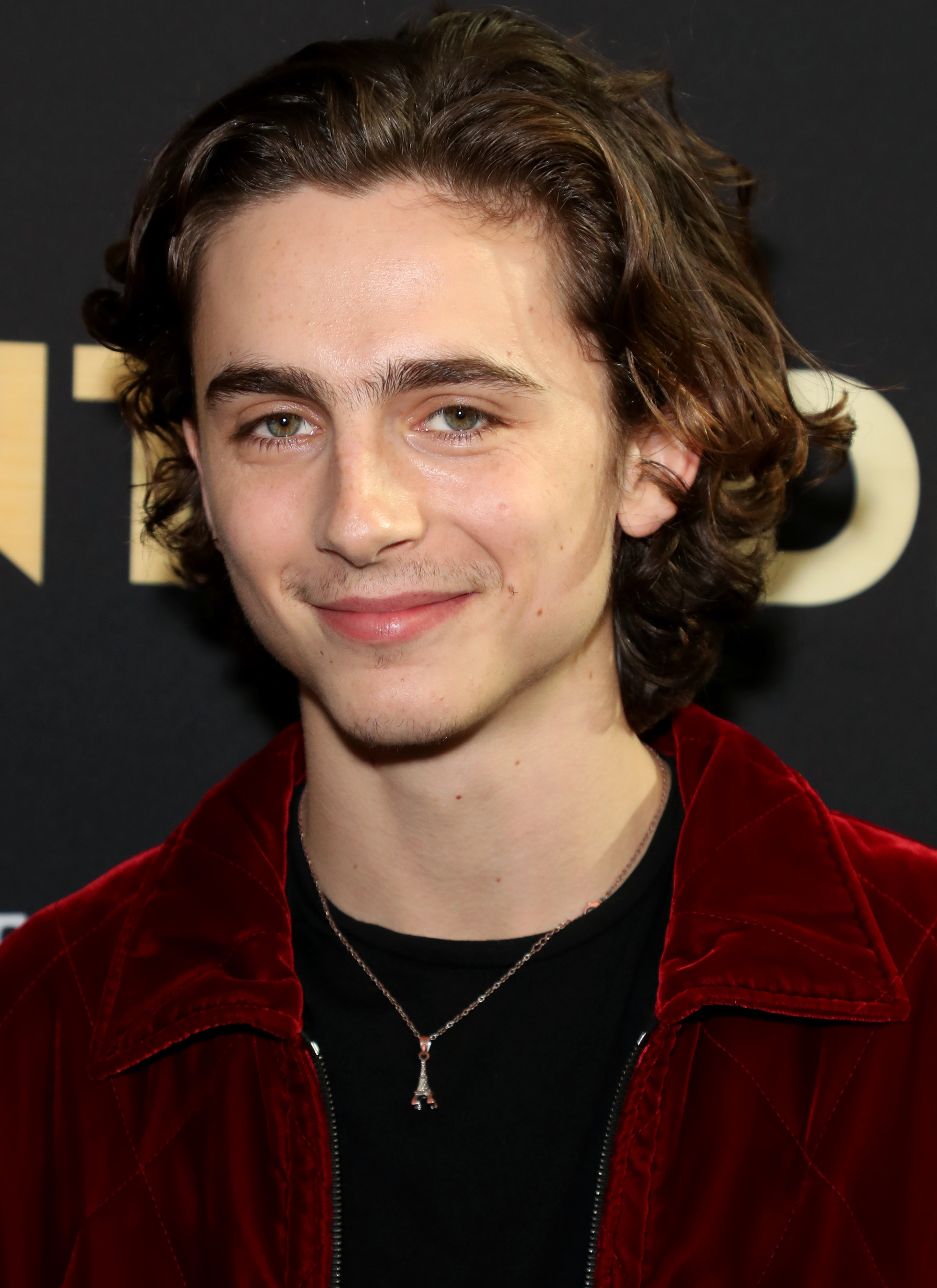 Timothee Chalamet photo #1050785