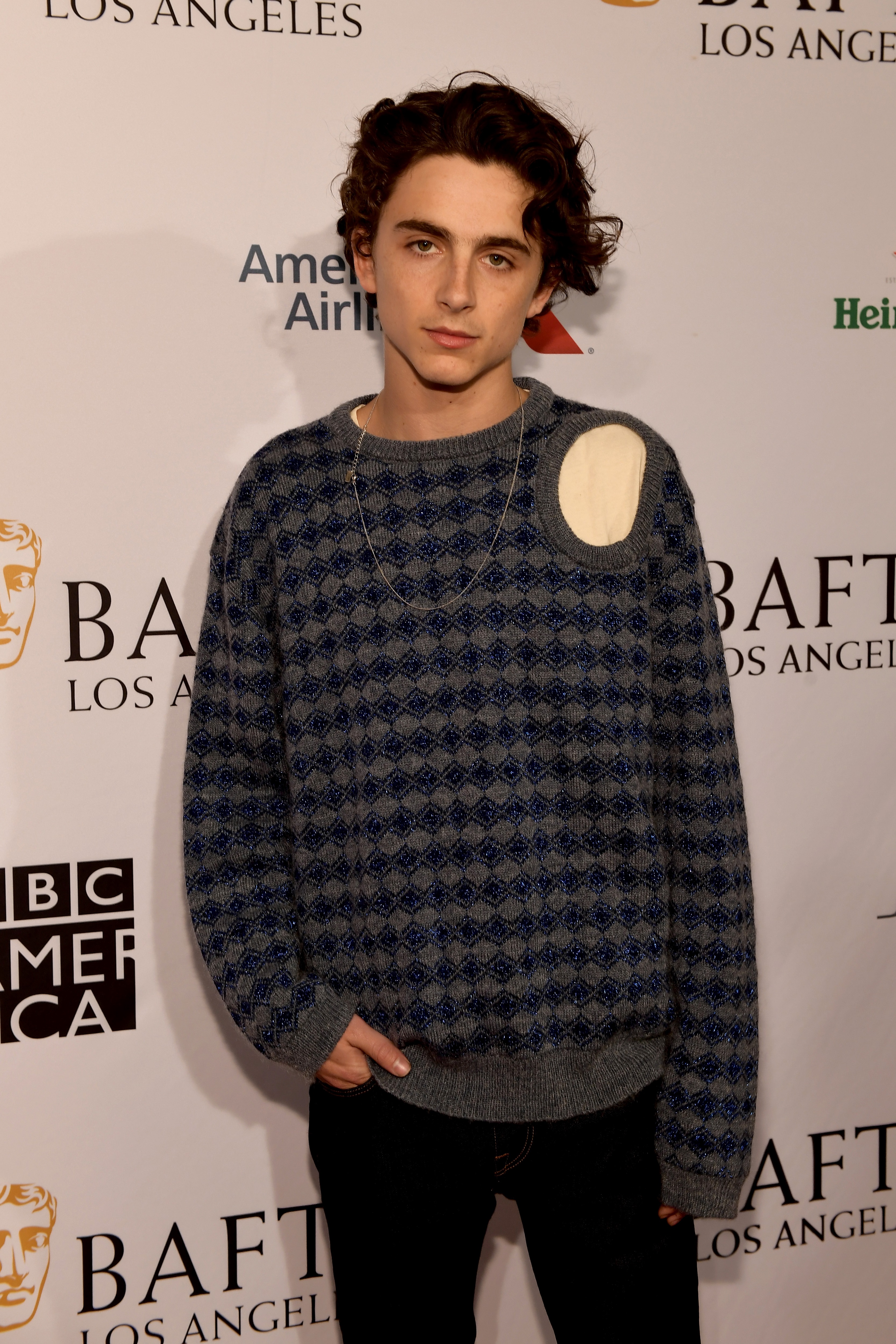 Timothee Chalamet photo #1045420