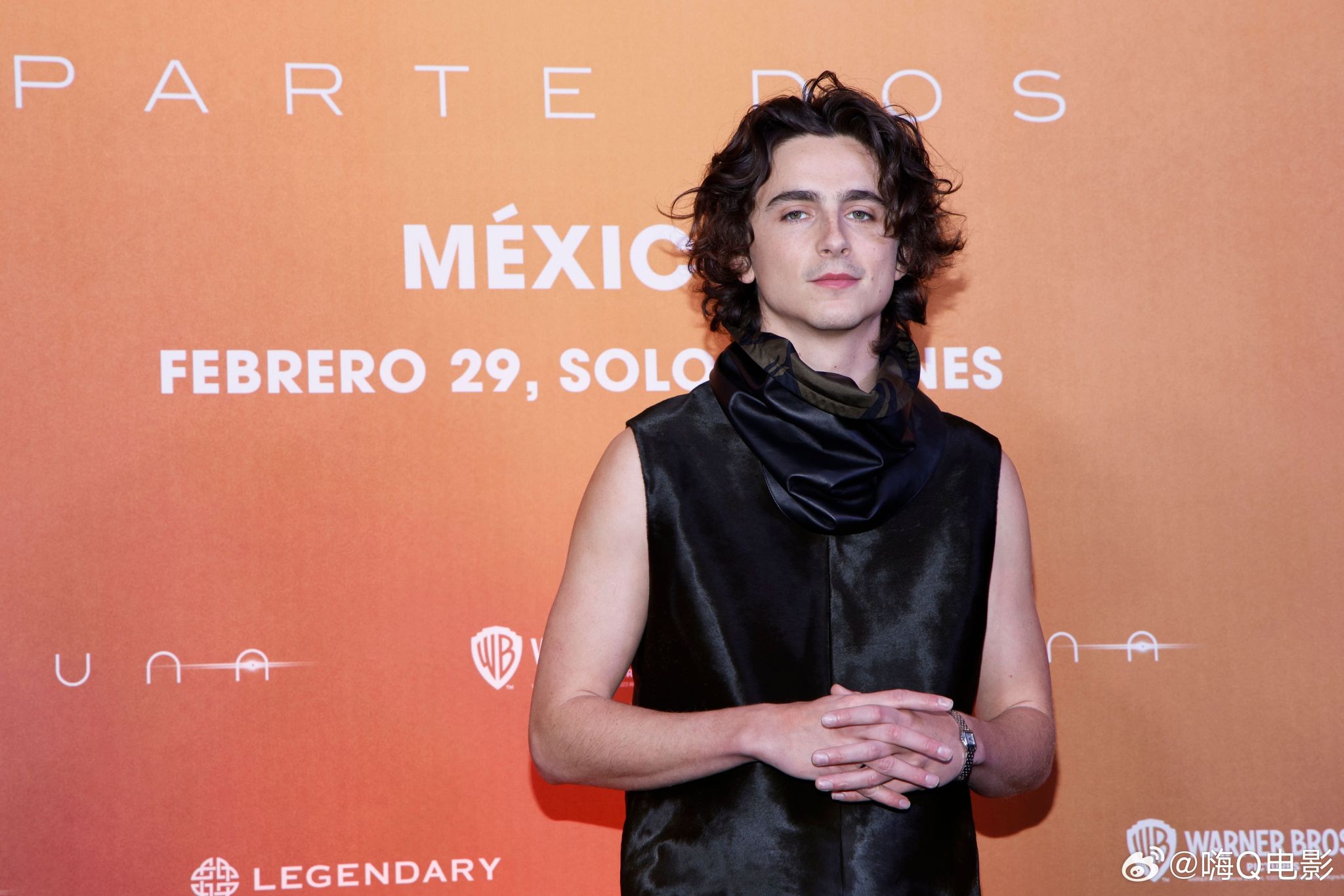 Timothee Chalamet photo #1069280