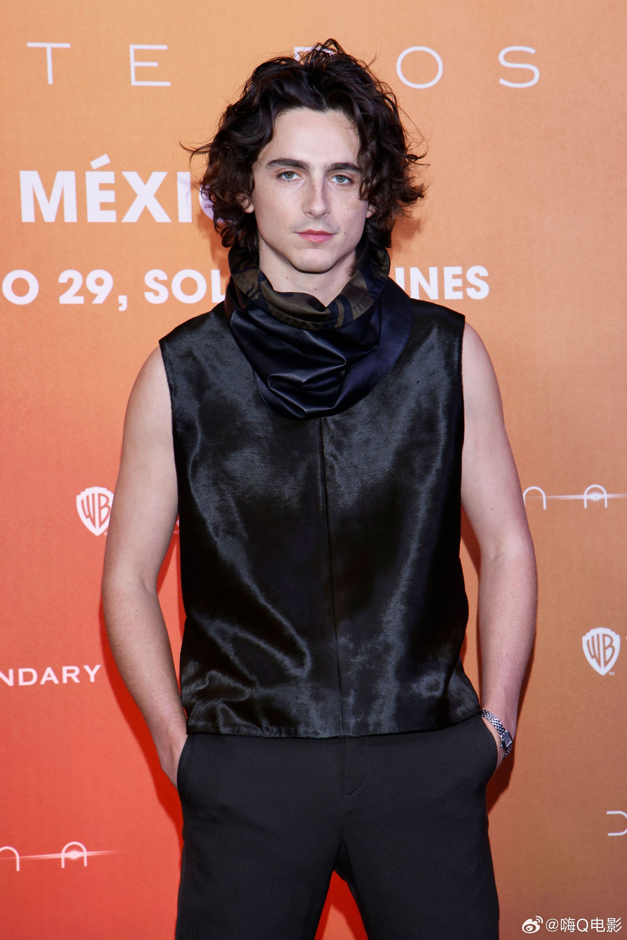 Timothee Chalamet photo #1069515