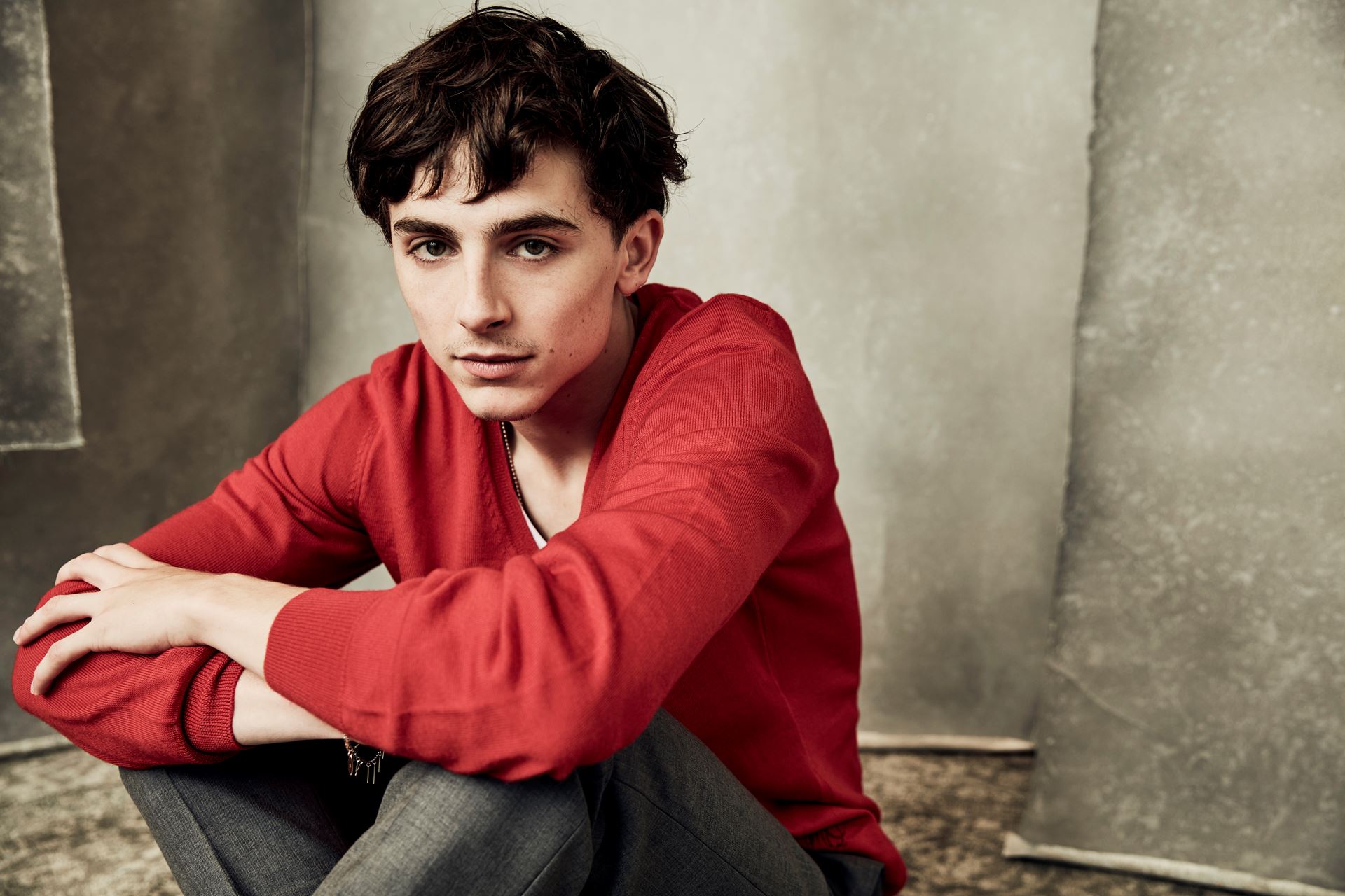 Timothee Chalamet photo #1055919