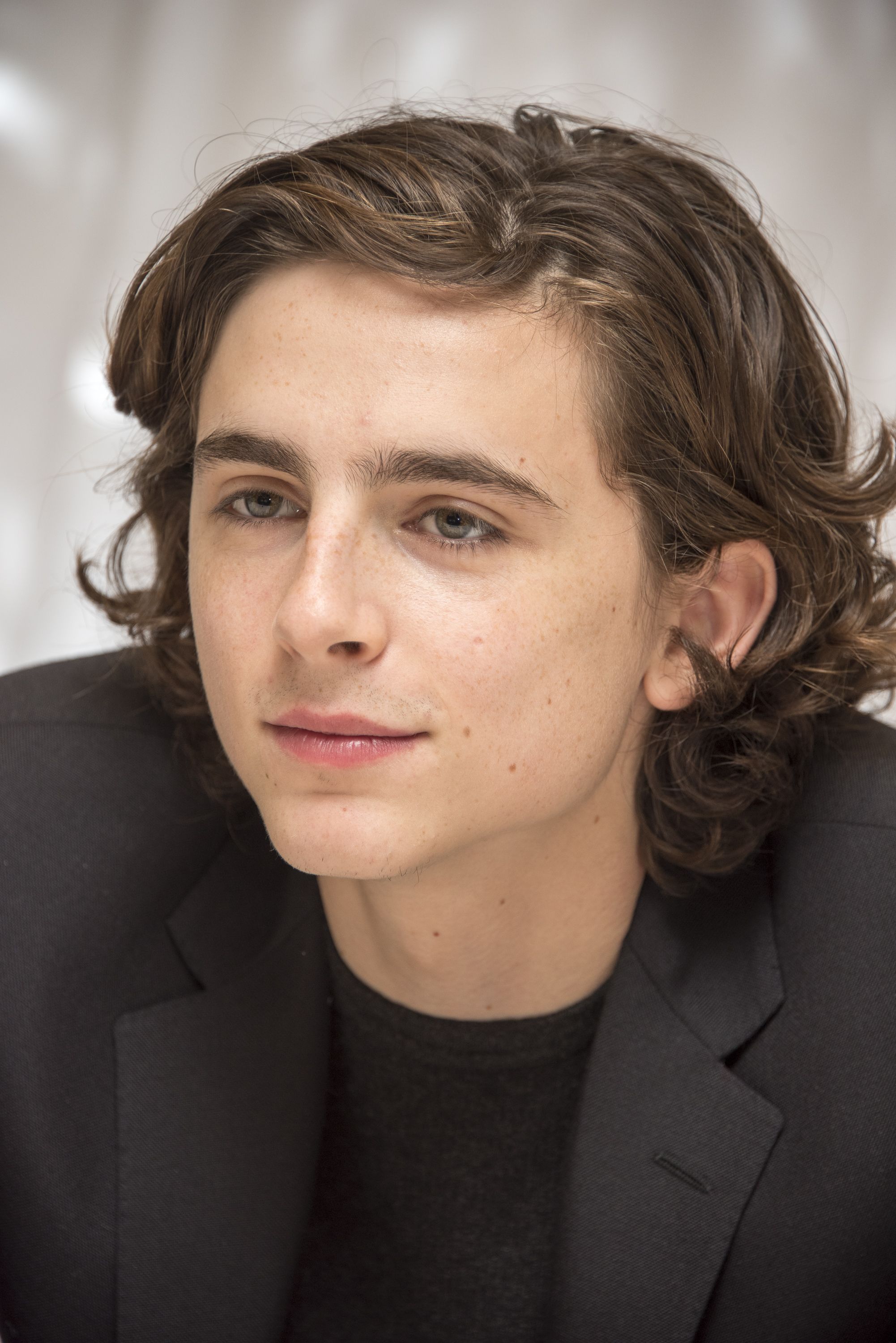 Timothee Chalamet photo #1058500