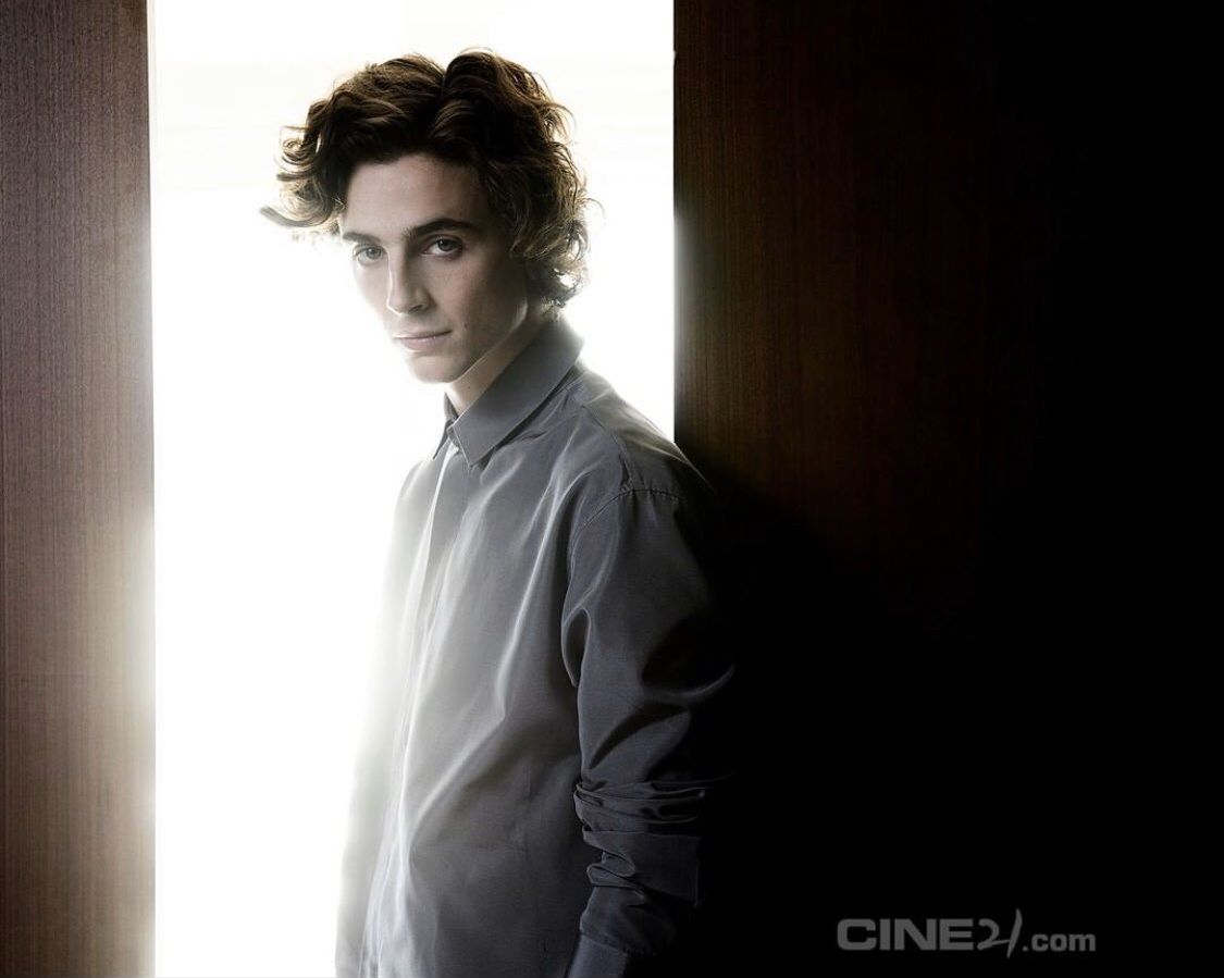 Timothee Chalamet photo #1047397