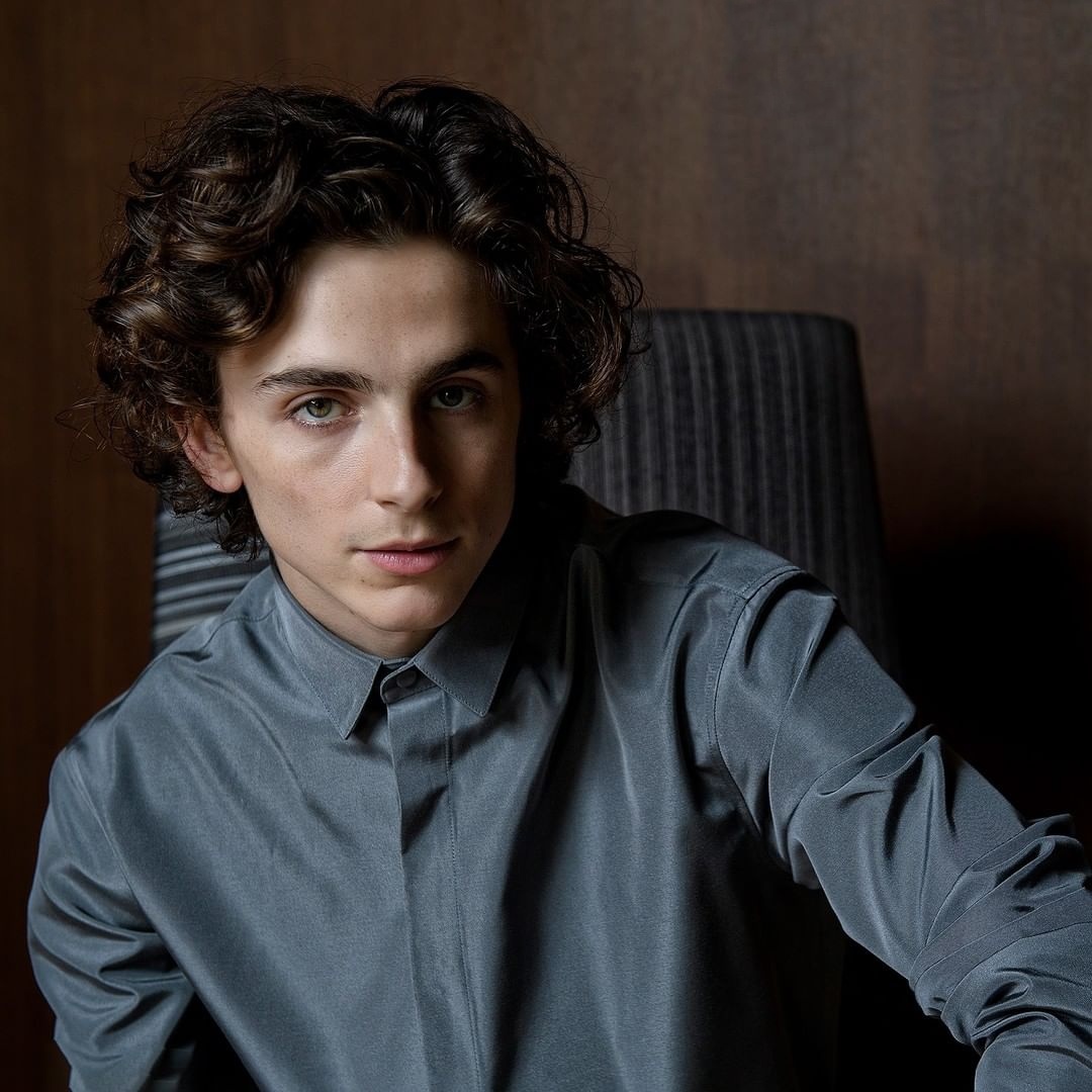 Timothee Chalamet photo #1047395