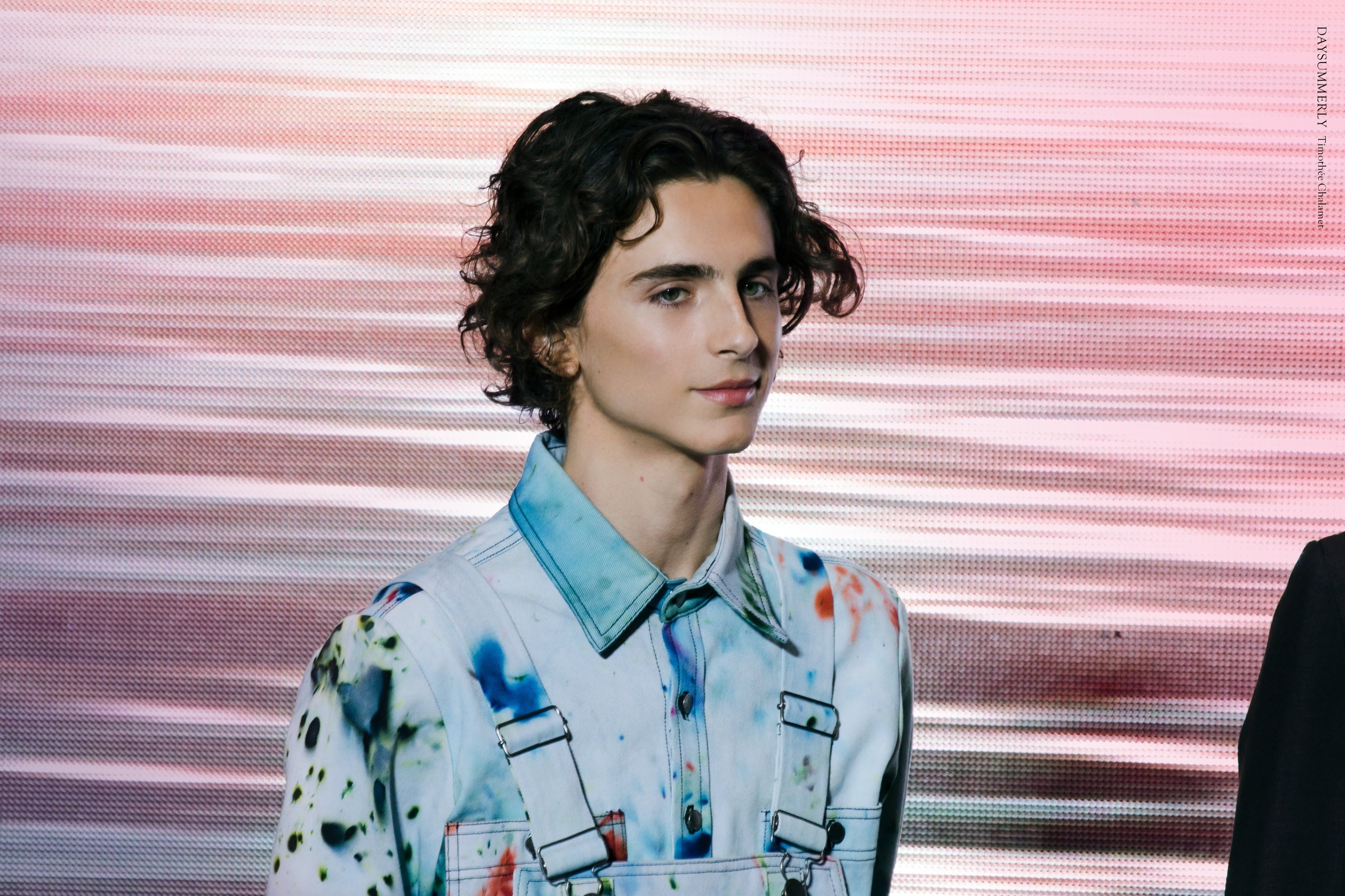 Timothee Chalamet photo #1044839