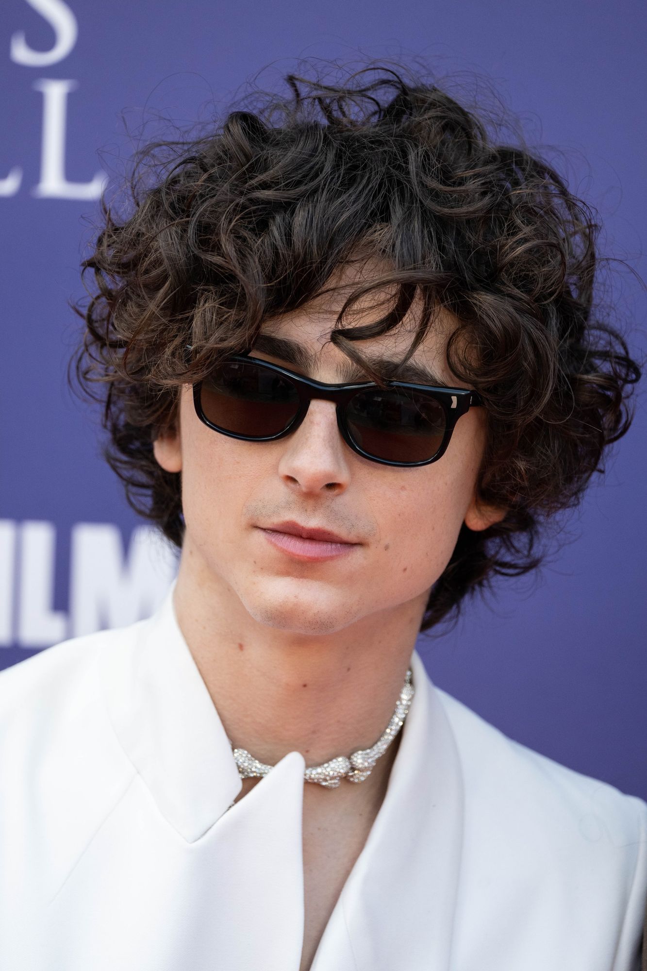 Timothee Chalamet photo #1047006