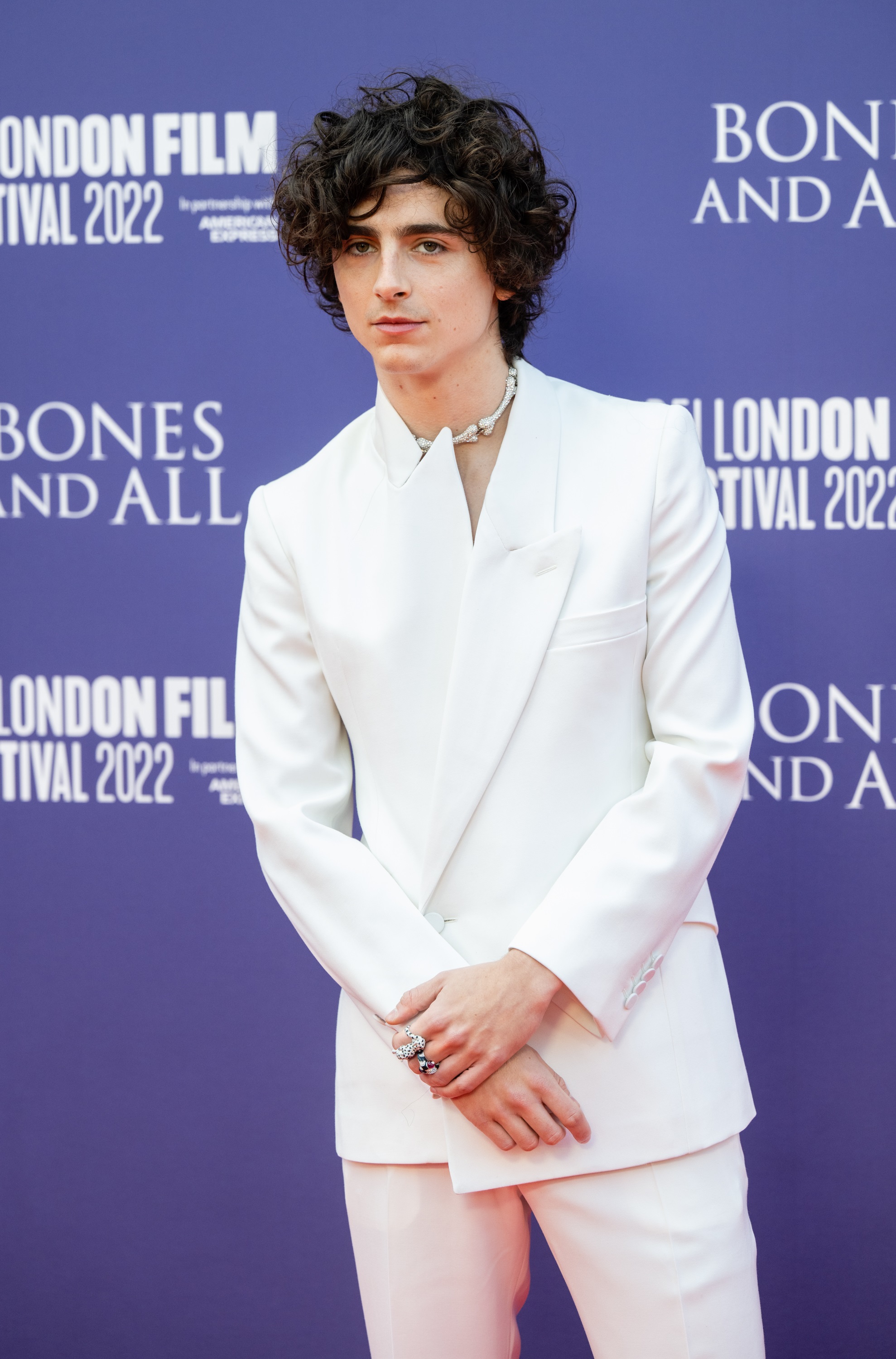 Timothee Chalamet photo #1047005