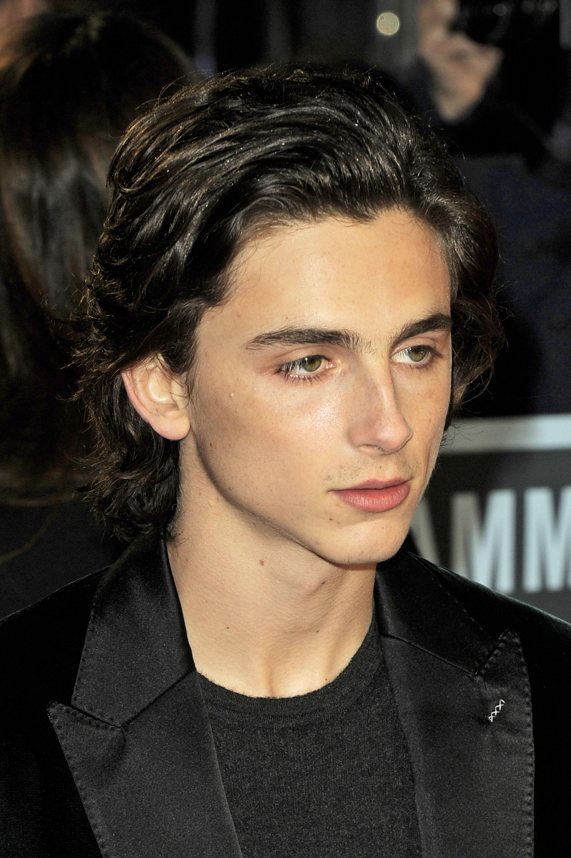 Timothee Chalamet photo #1045304