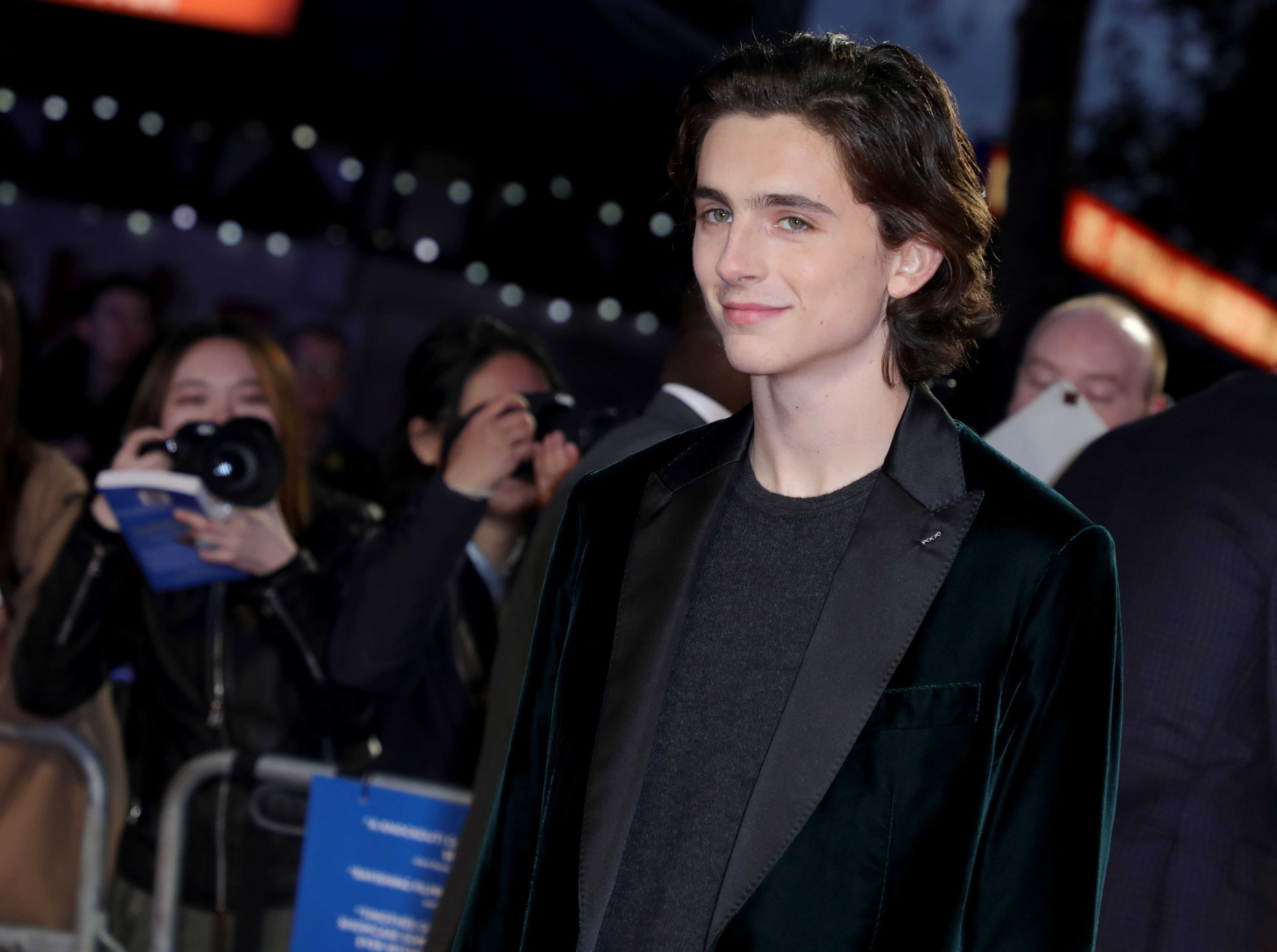 Timothee Chalamet photo #1045303