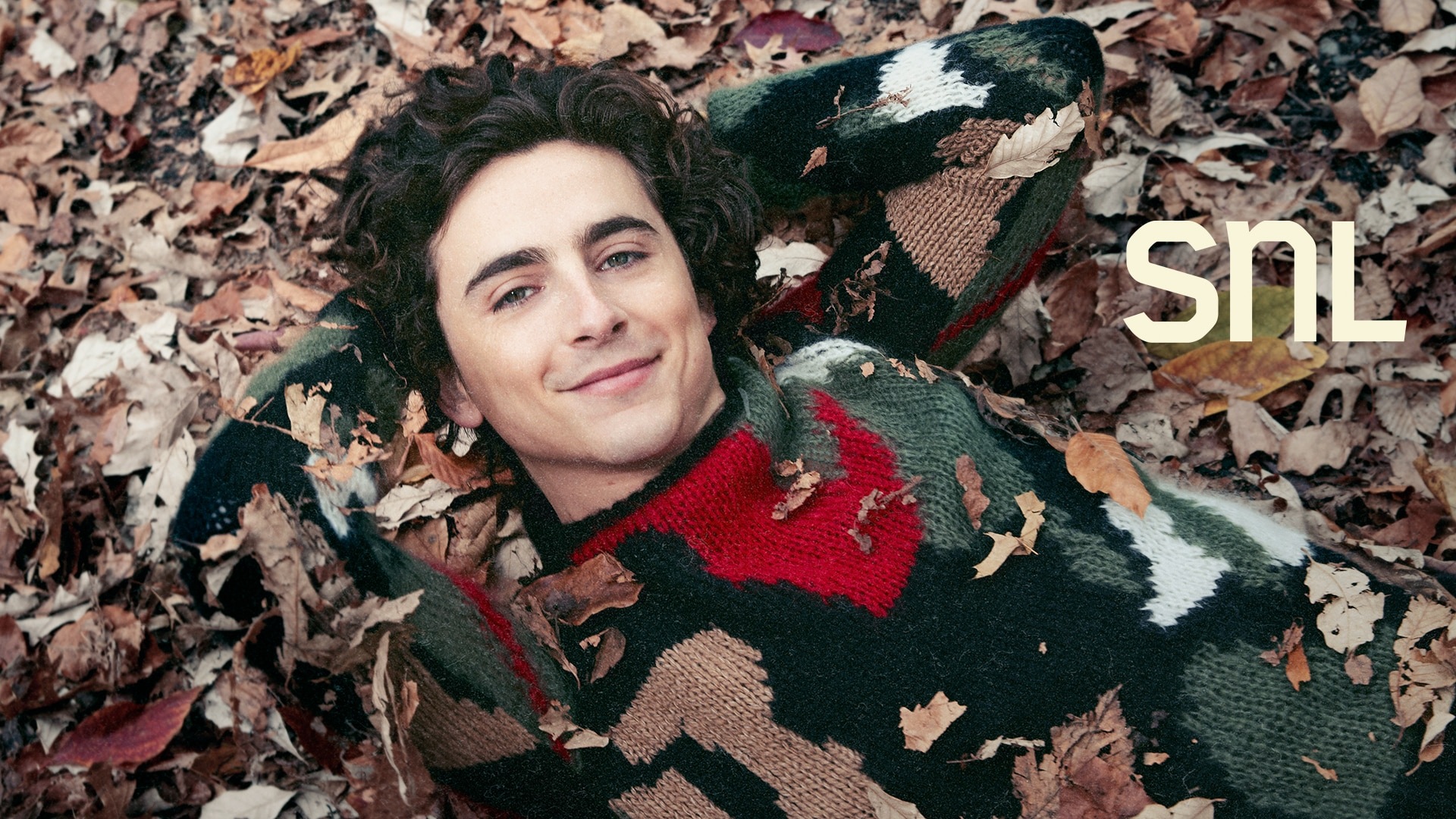 Timothee Chalamet photo #1062651