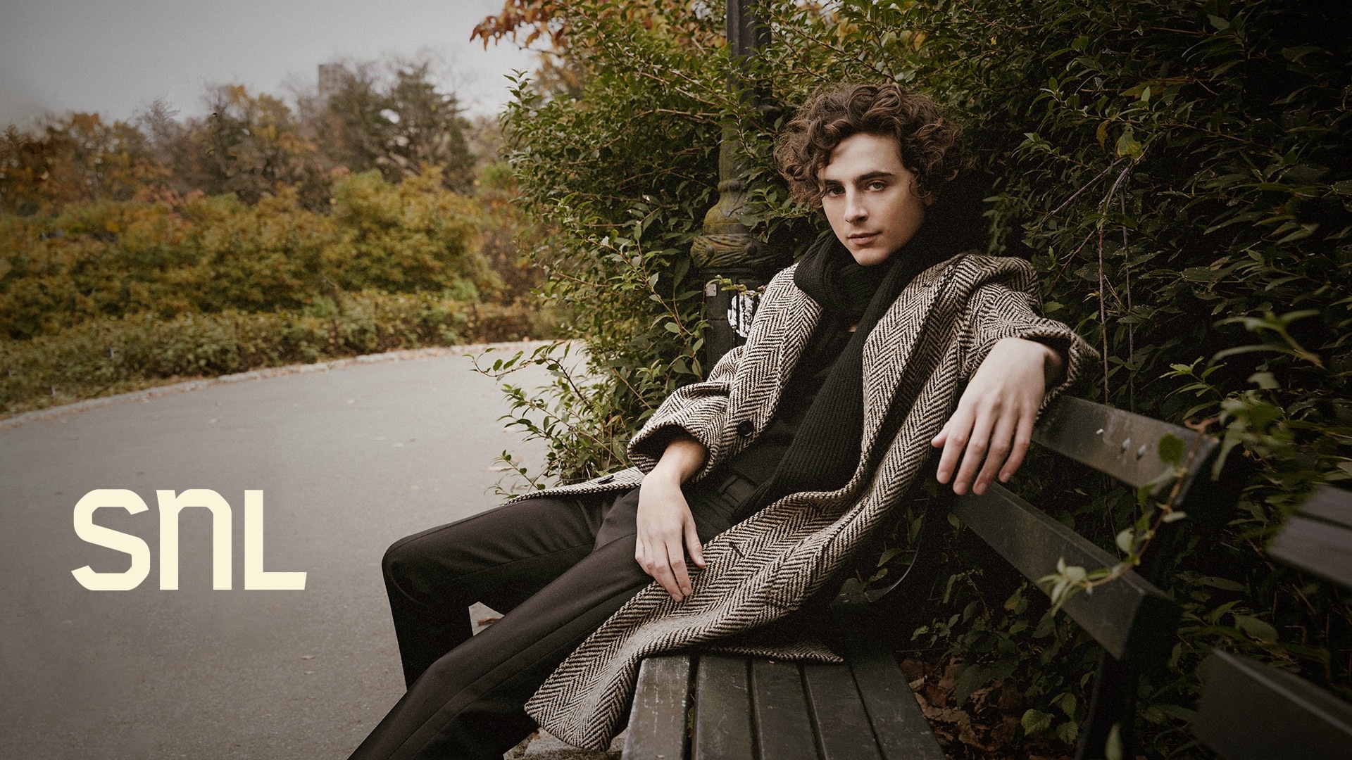 Timothee Chalamet photo #1062648