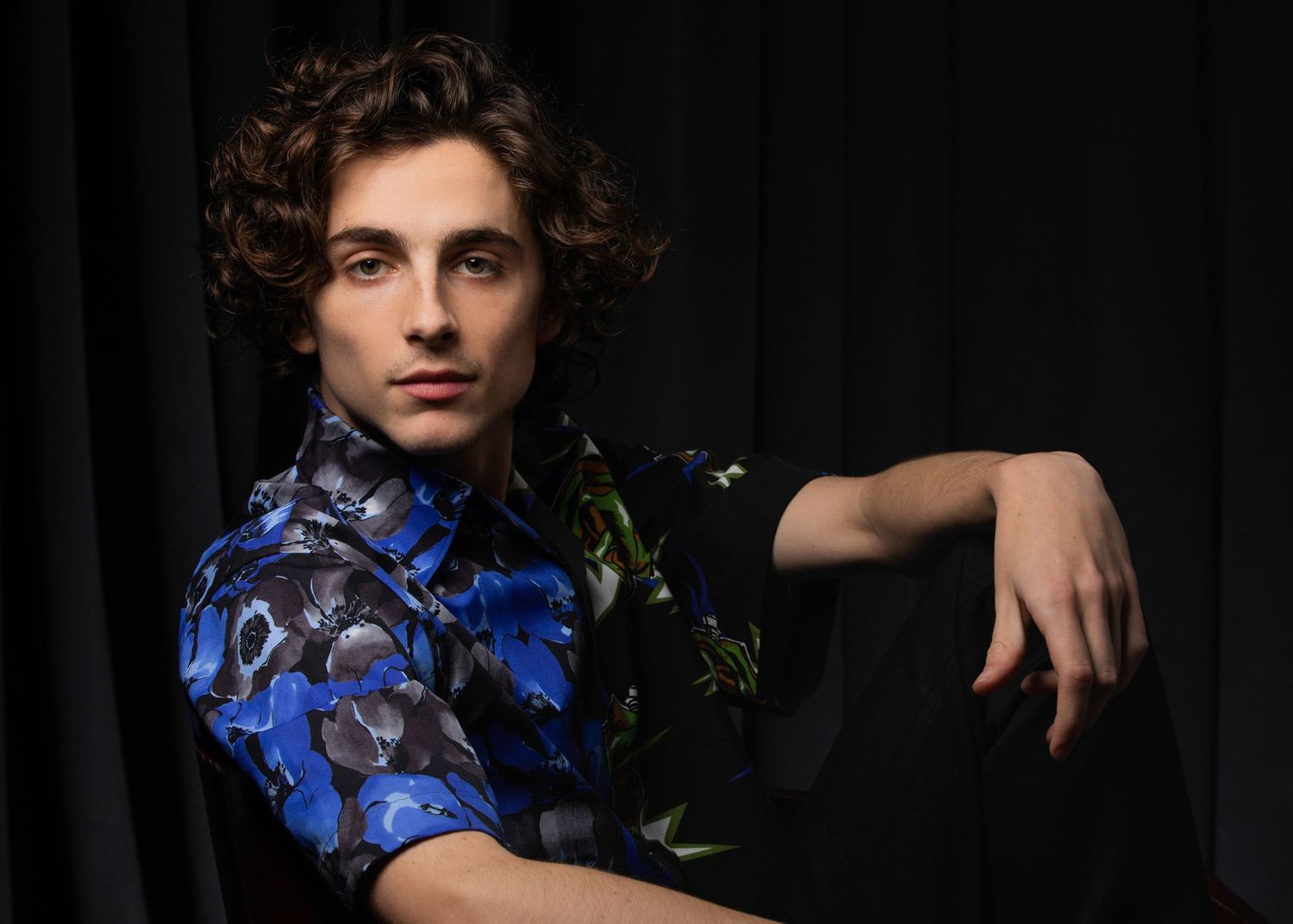 Timothee Chalamet photo #1068742