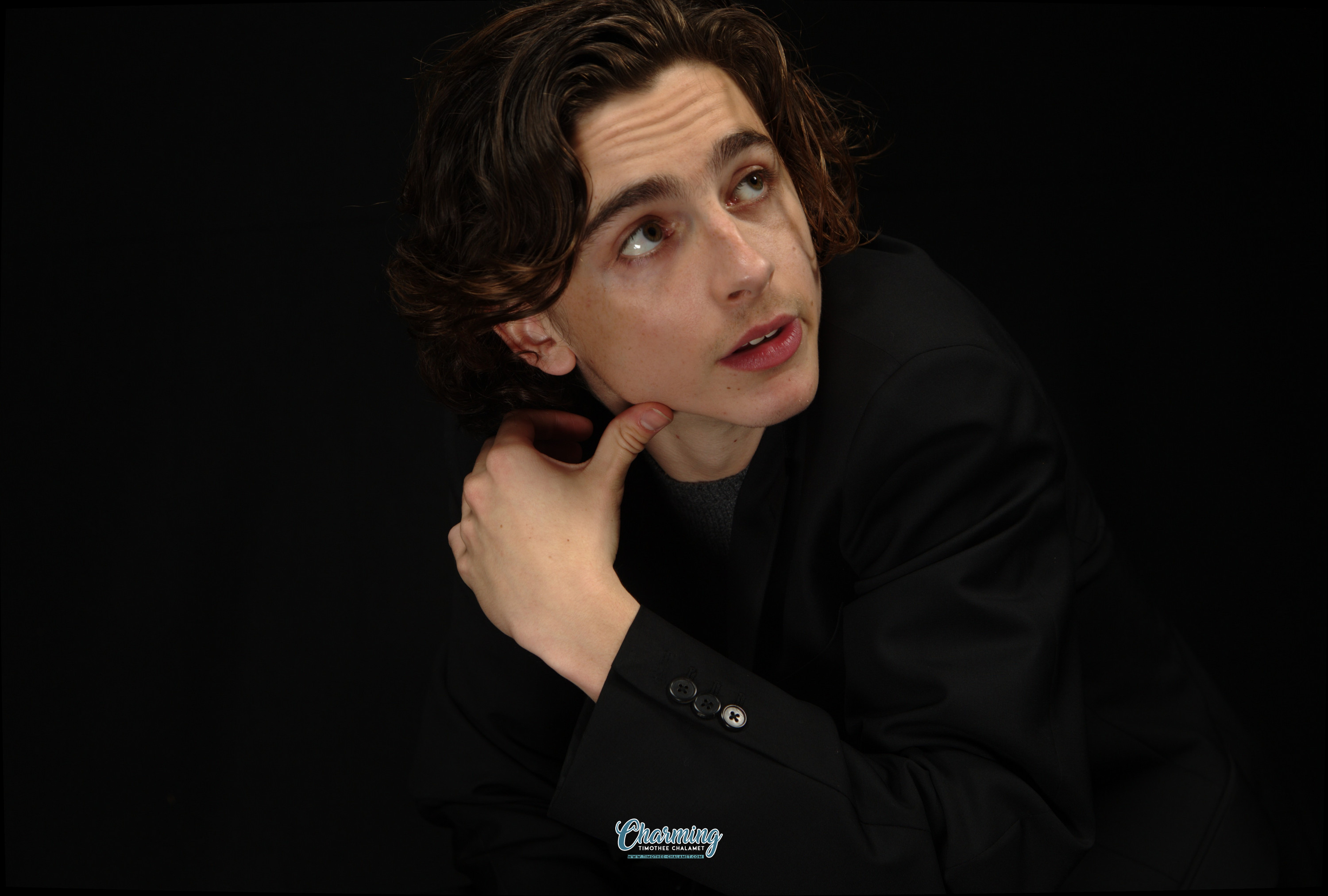 Timothee Chalamet photo #1044467