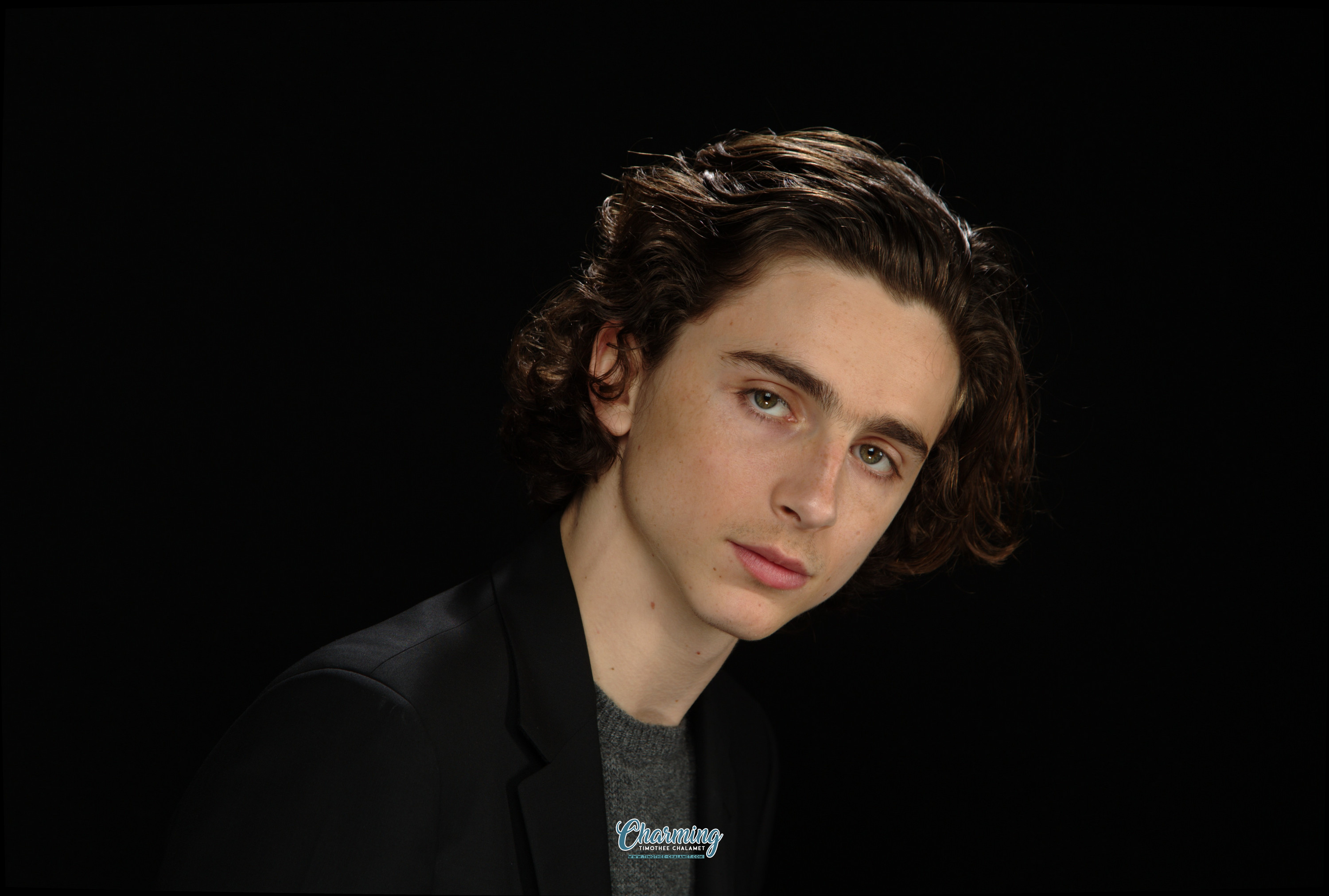 Timothee Chalamet photo #1044465