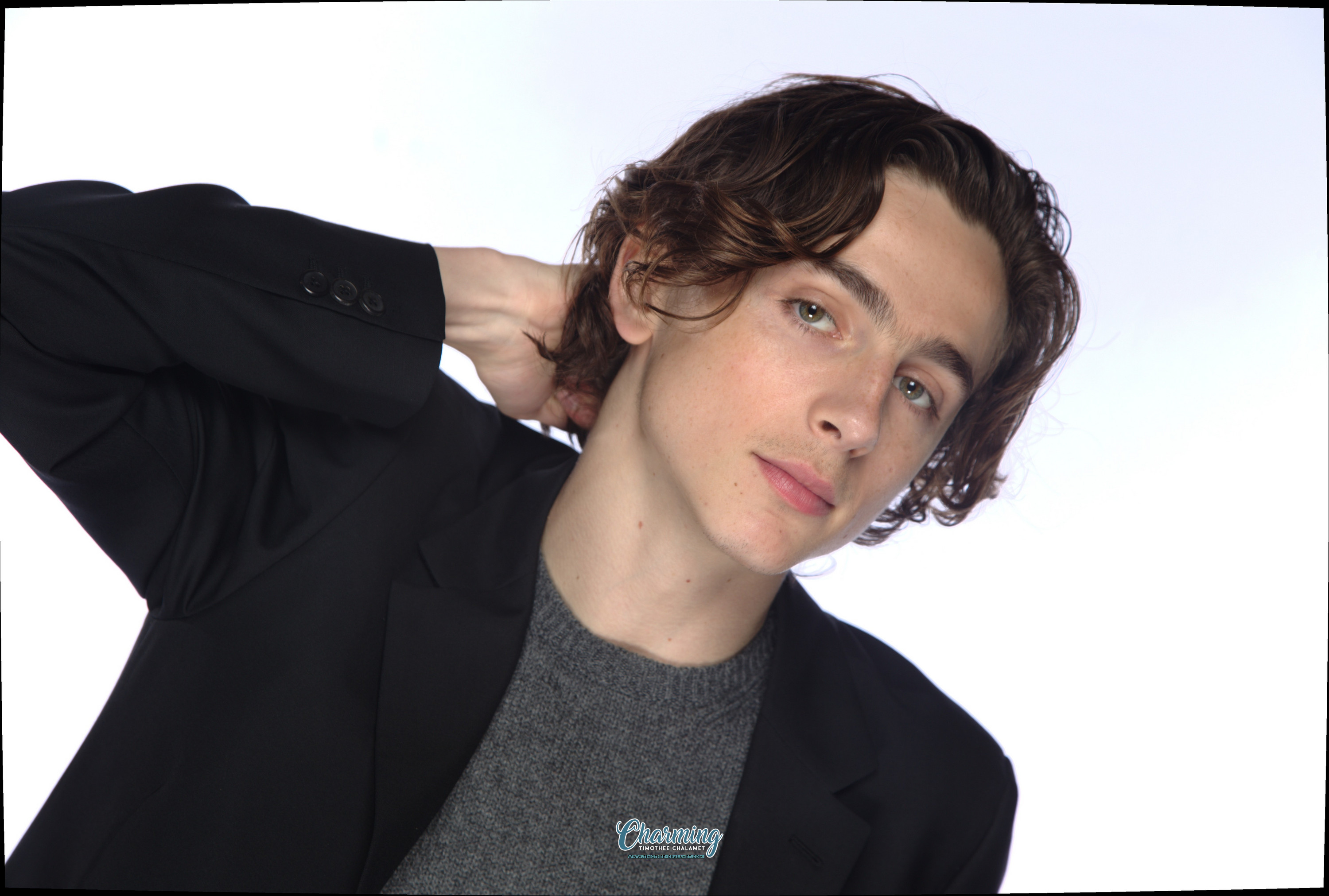 Timothee Chalamet photo #1044464