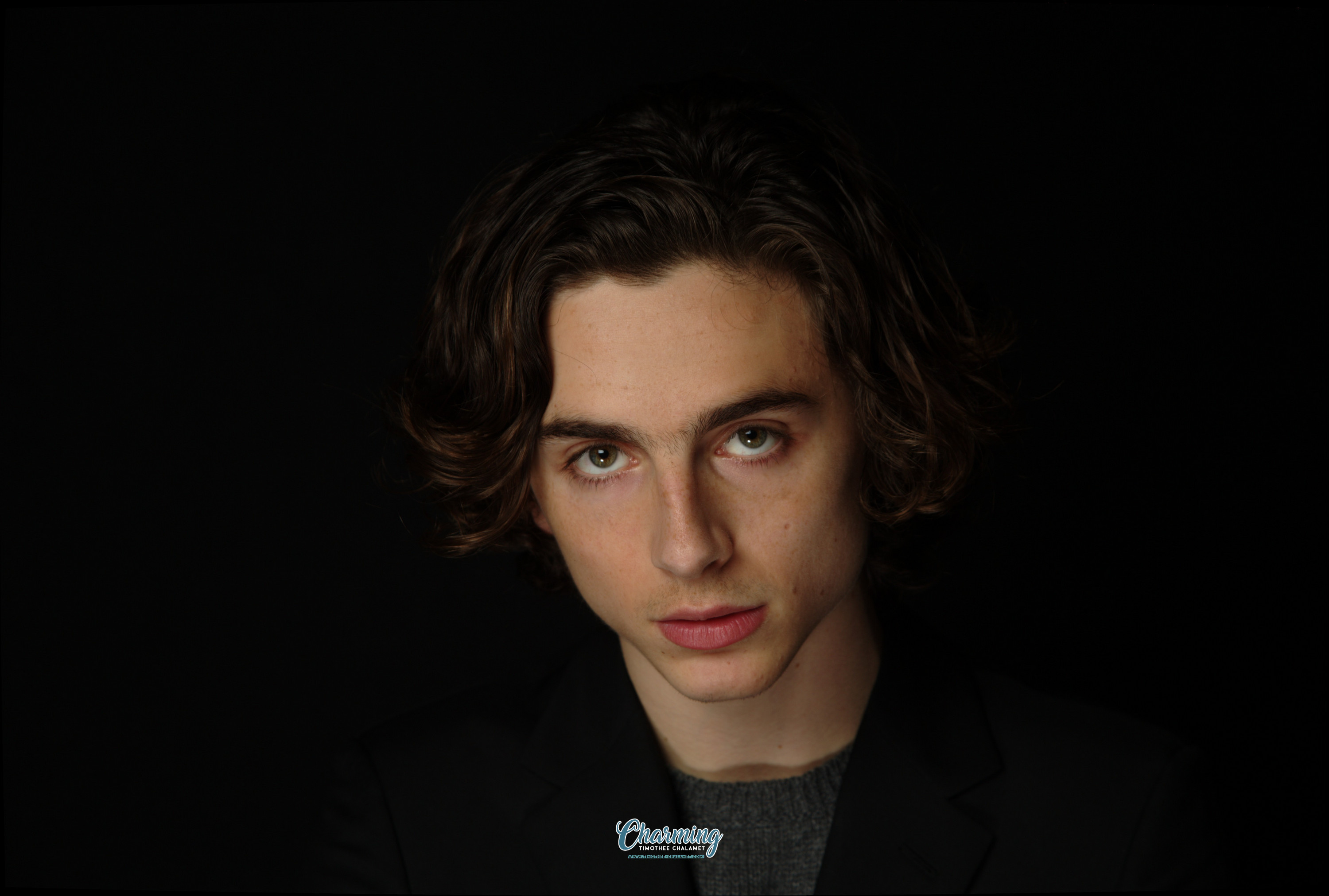 Timothee Chalamet photo #1044468