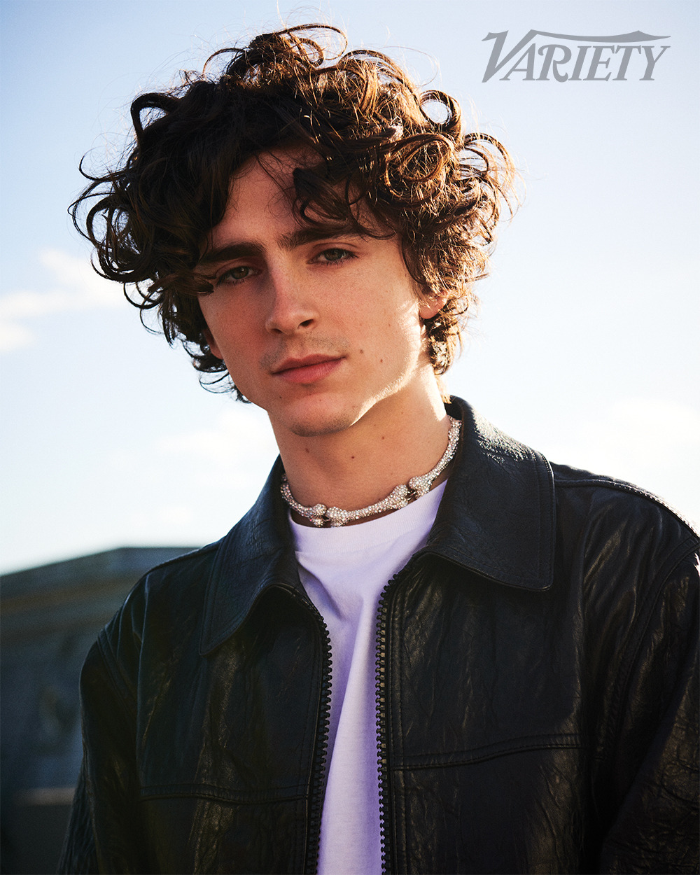 Timothee Chalamet photo #1041166