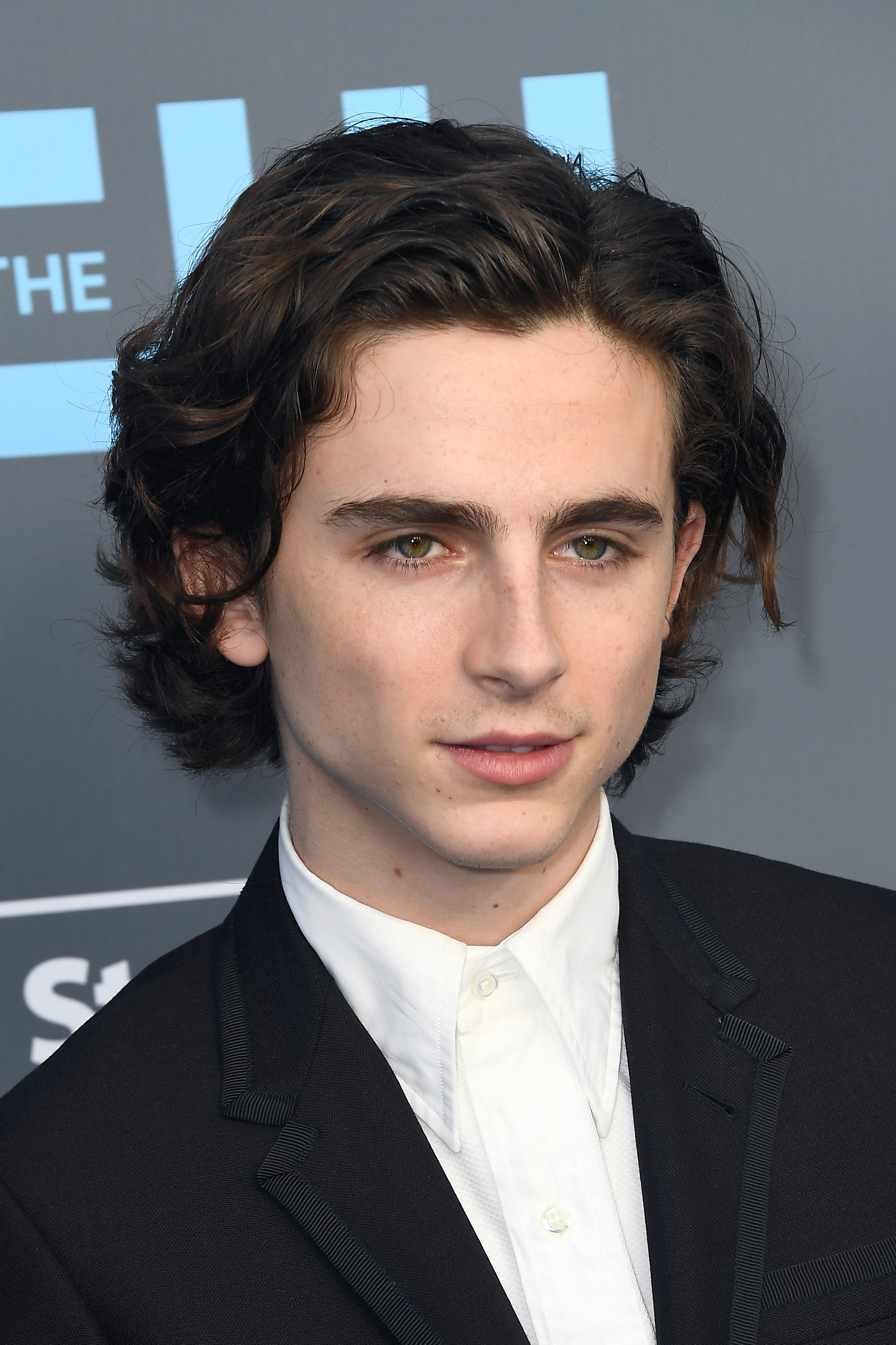 Timothee Chalamet photo #1052659