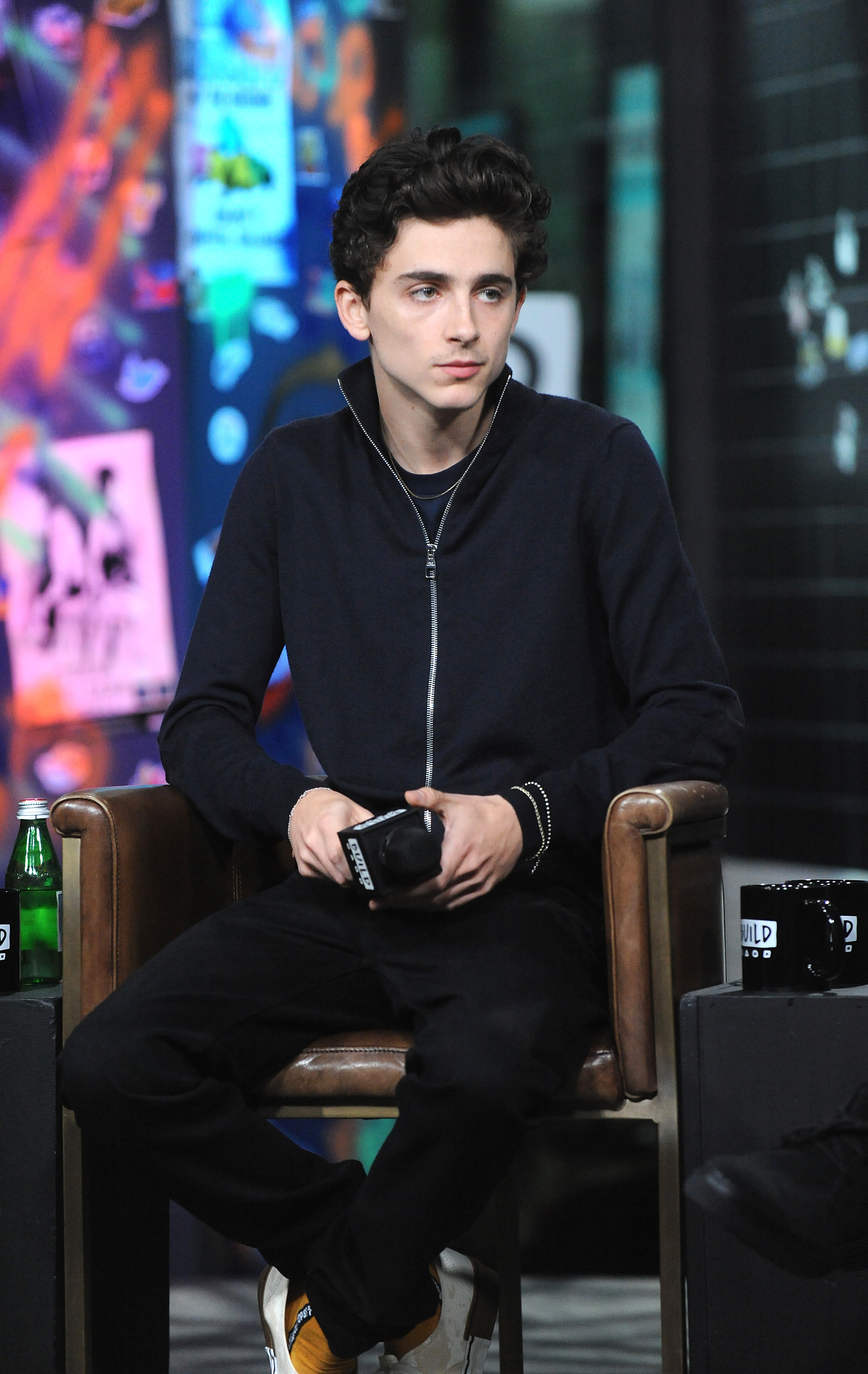 Timothee Chalamet photo #1053485