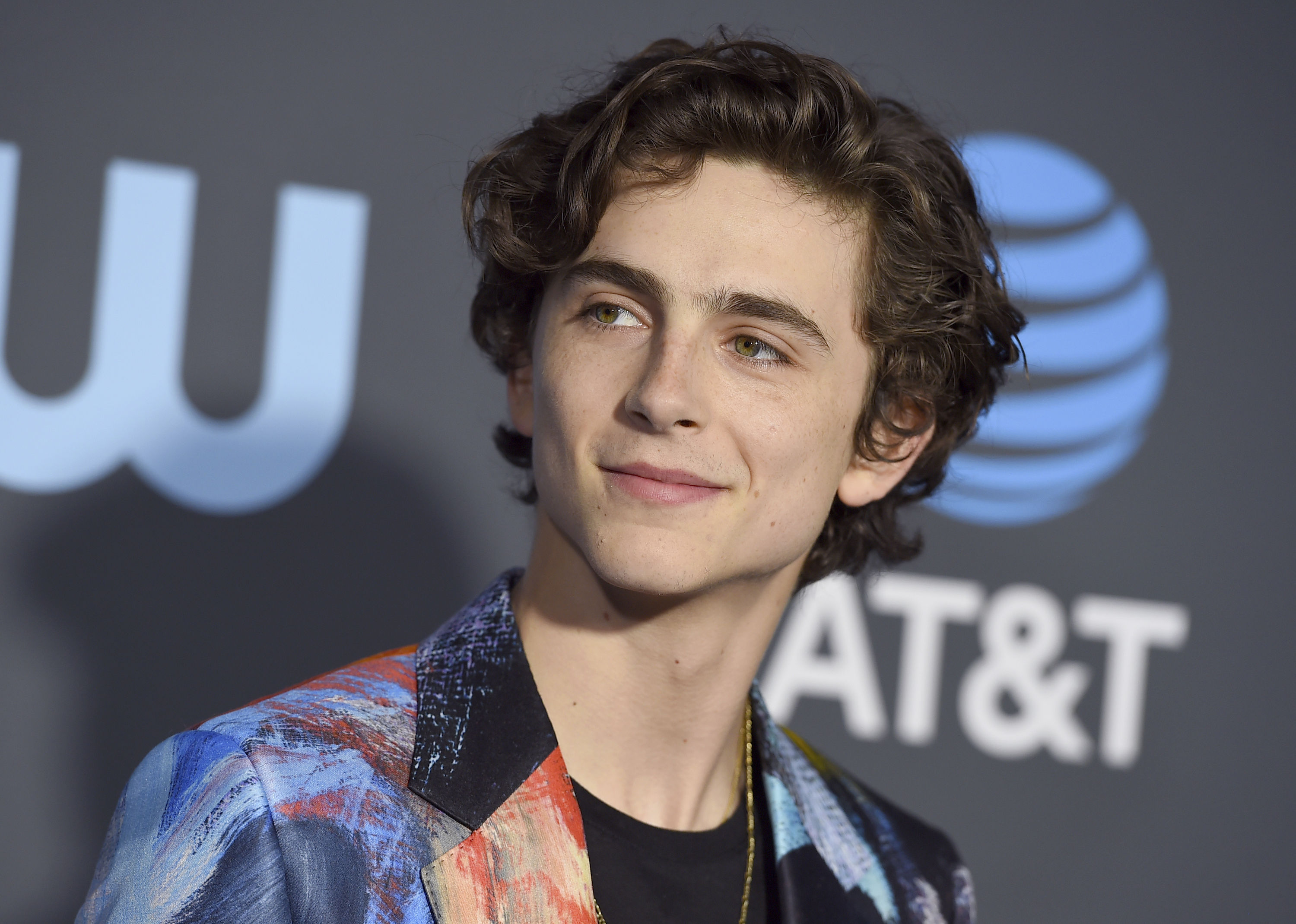 Timothee Chalamet photo #1007076