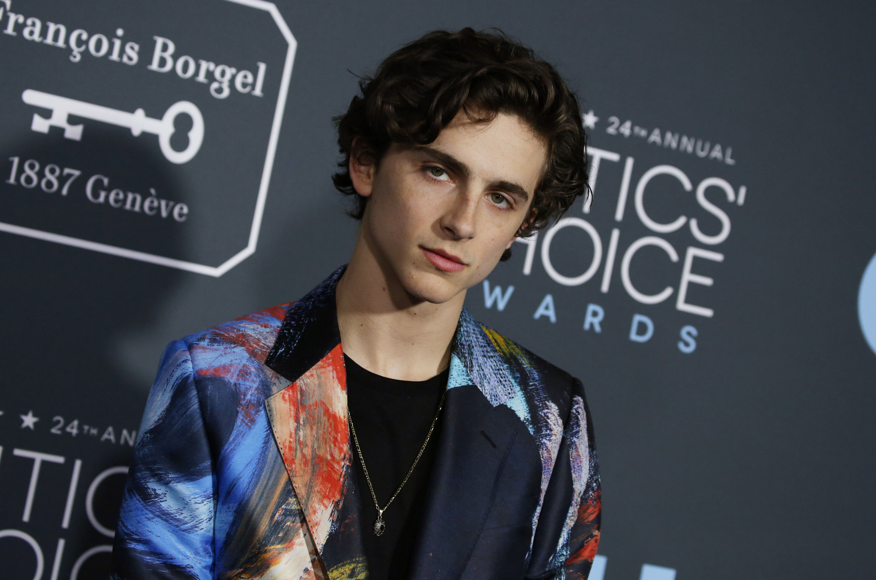 Timothee Chalamet photo #1007078