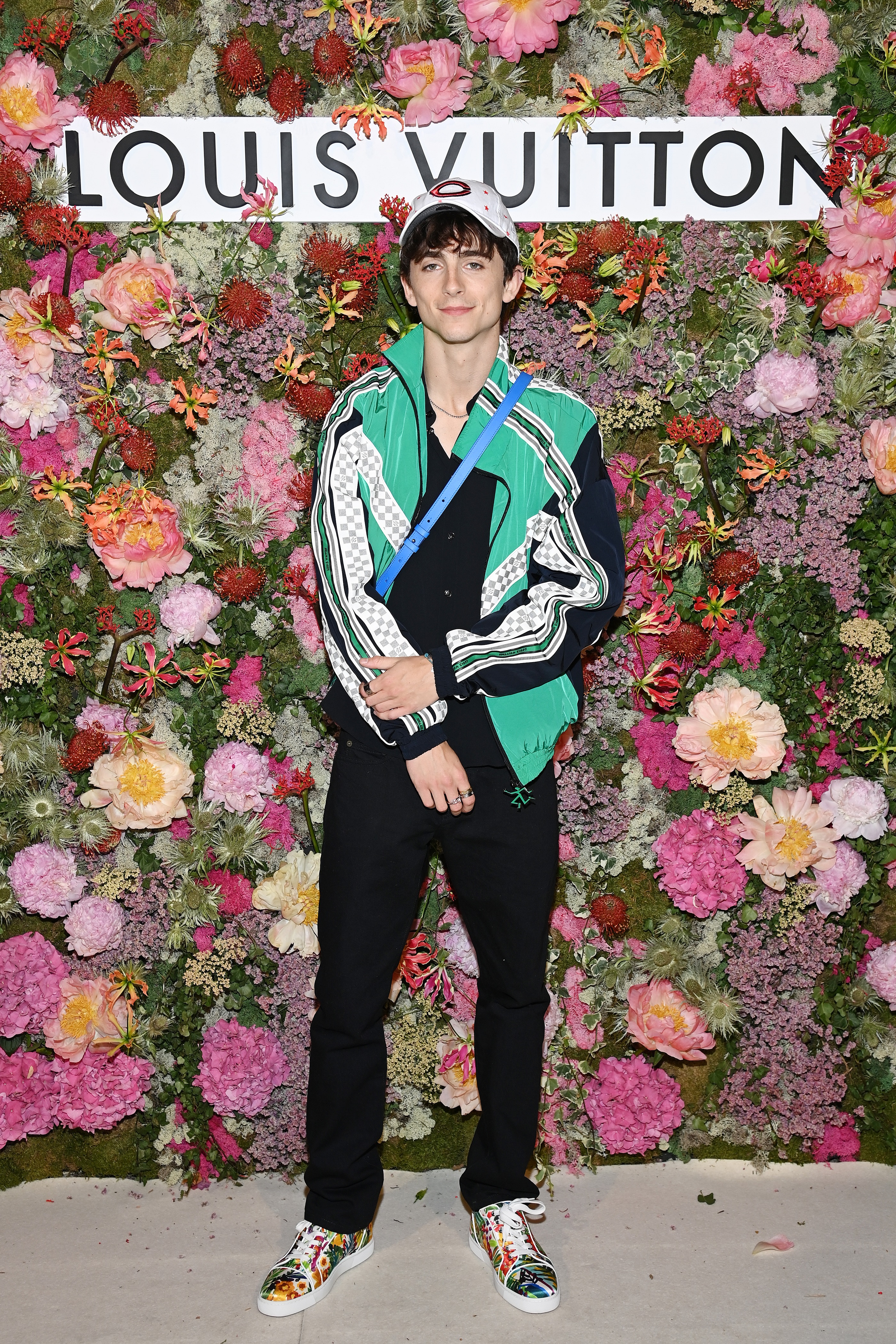 Timothee Chalamet photo #1008839