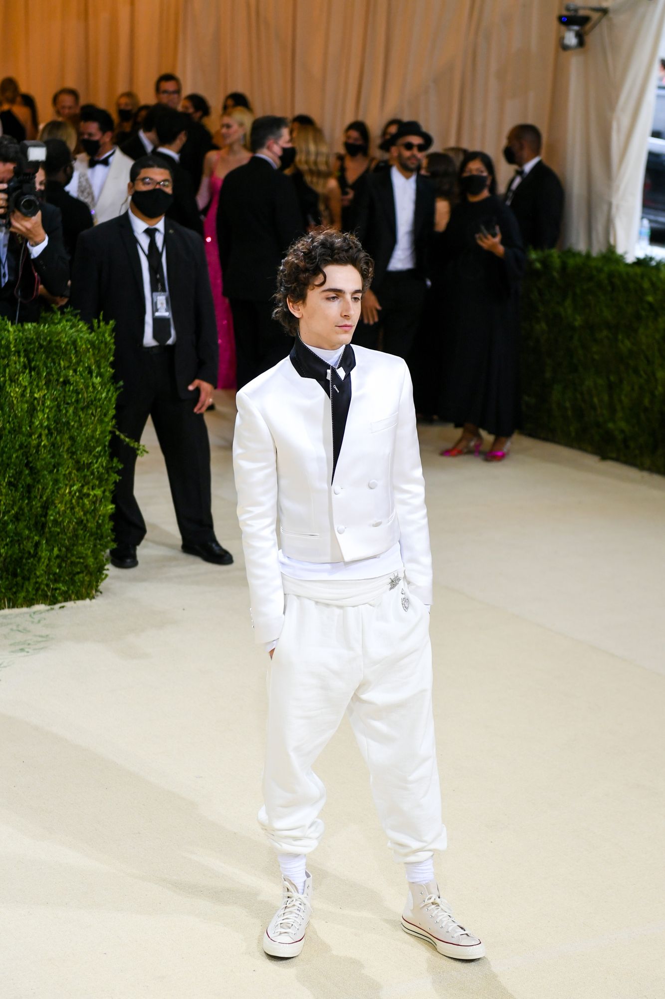 Timothee Chalamet photo #1056037