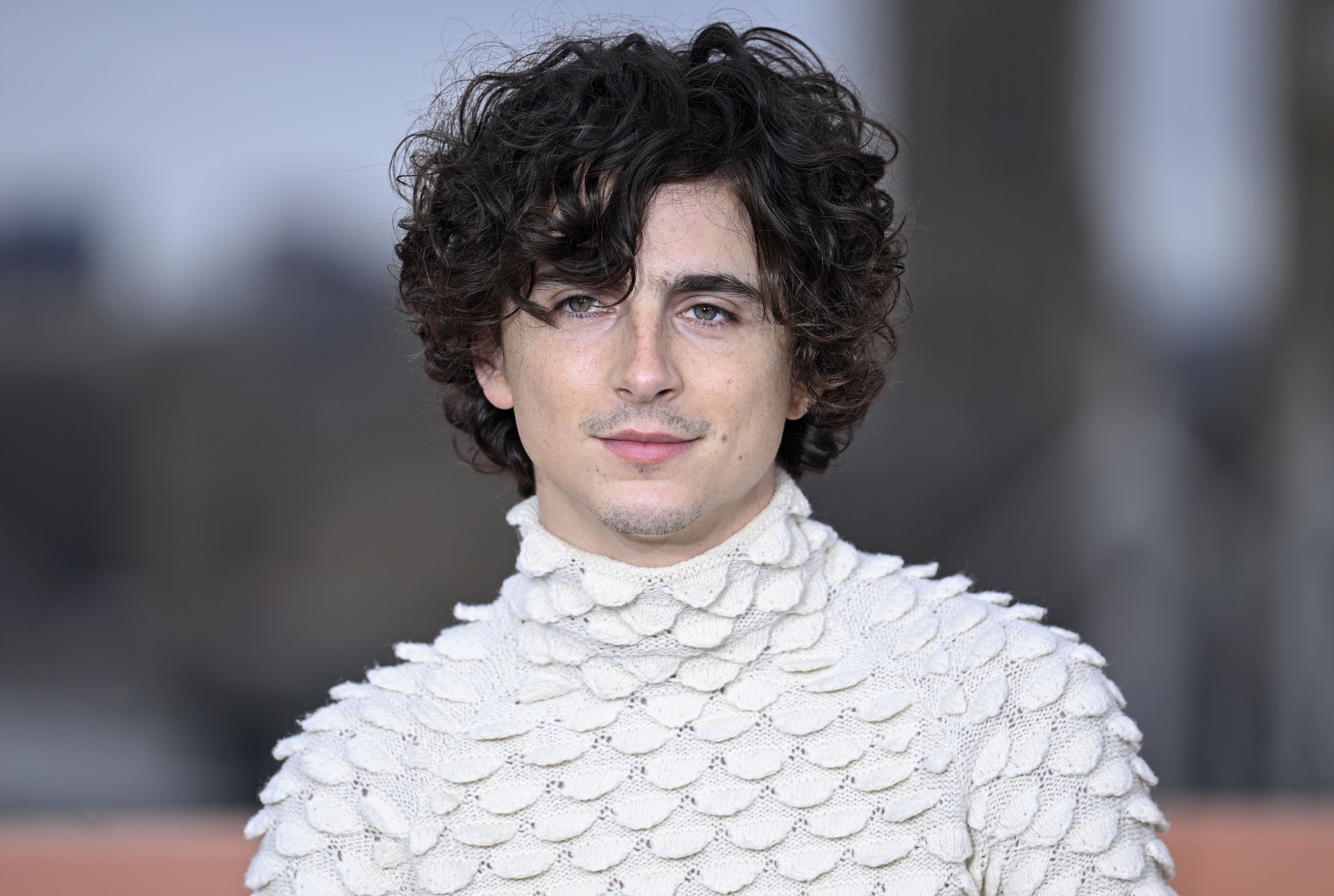 Timothee Chalamet photo #1070146