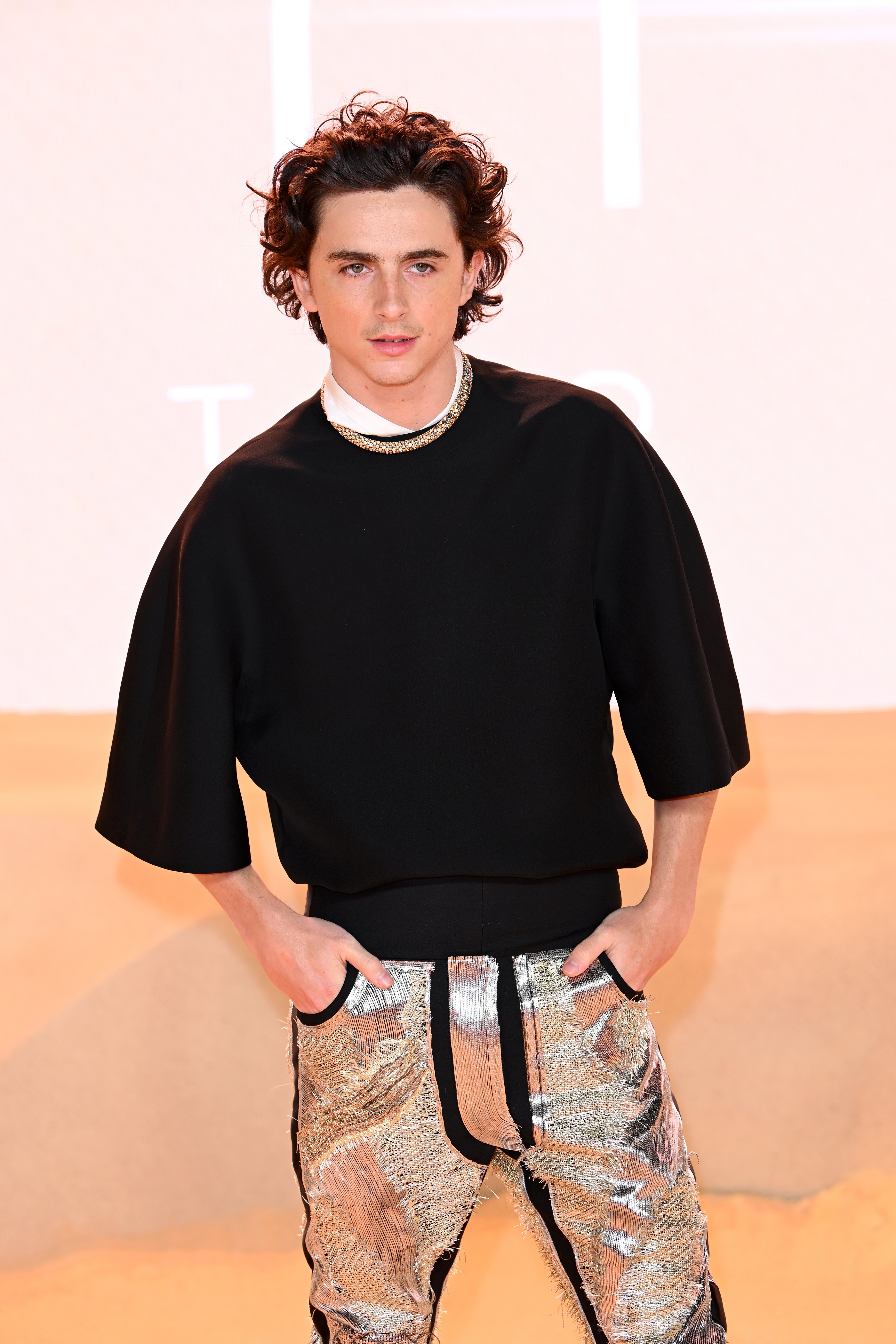 Timothee Chalamet photo #1070399