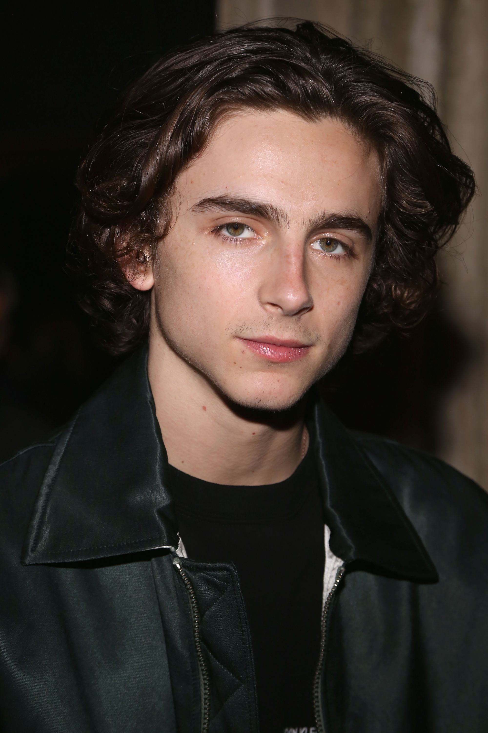 Timothee Chalamet photo #1047429