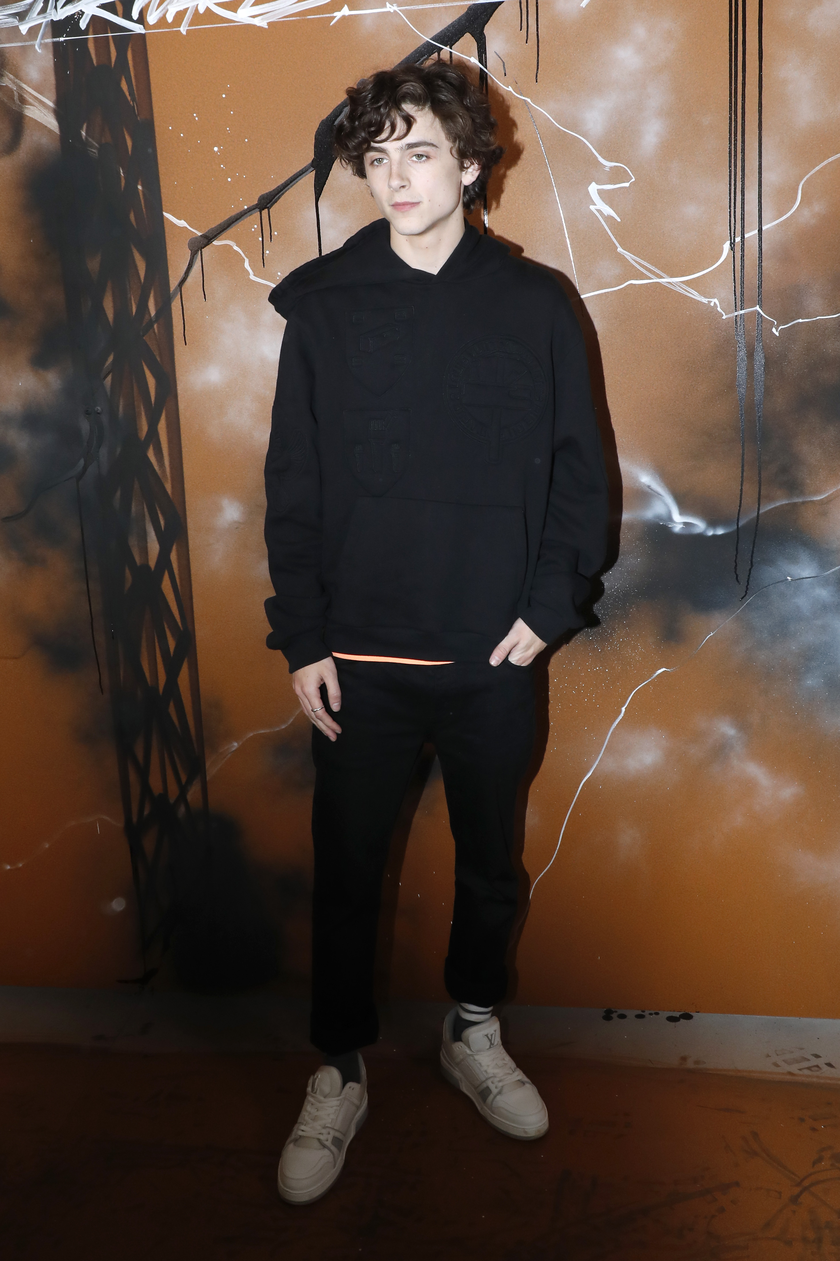 Timothee Chalamet photo #1009312