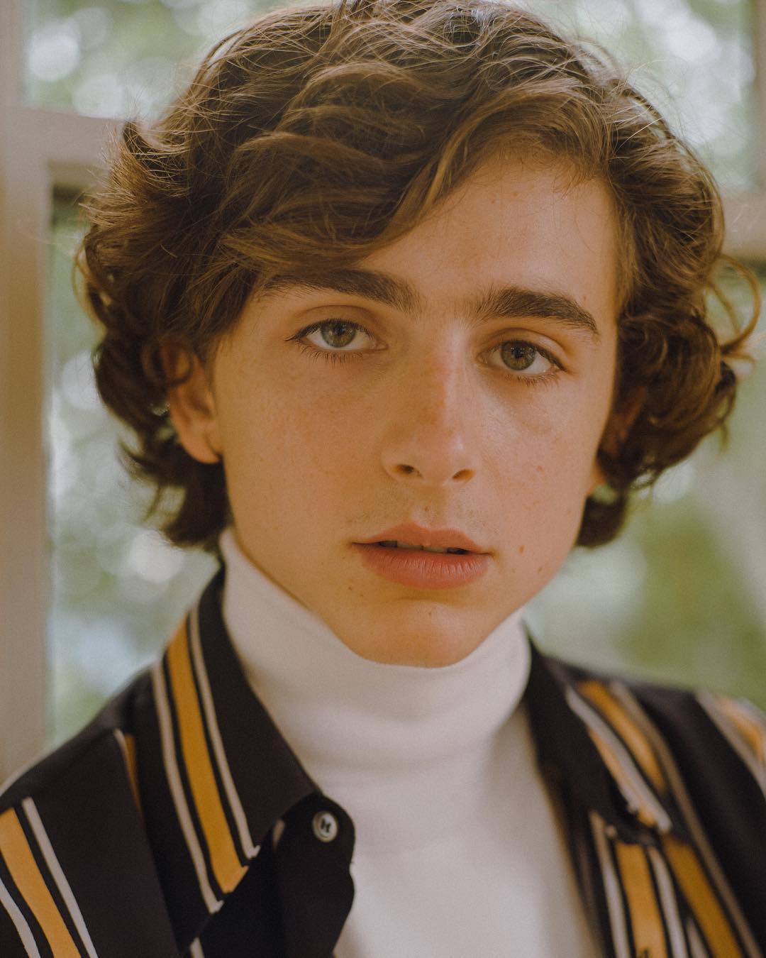 Timothee Chalamet photo #1047976