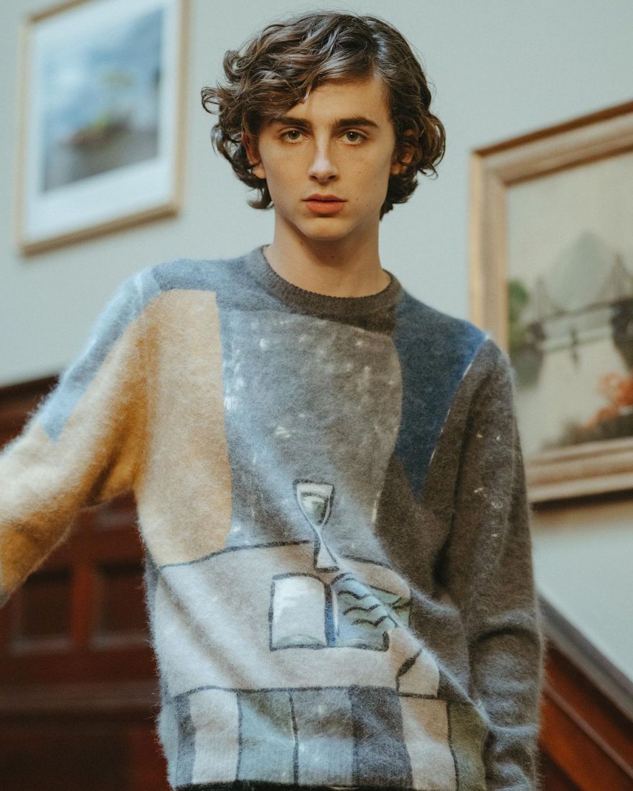 Timothee Chalamet photo #1047978