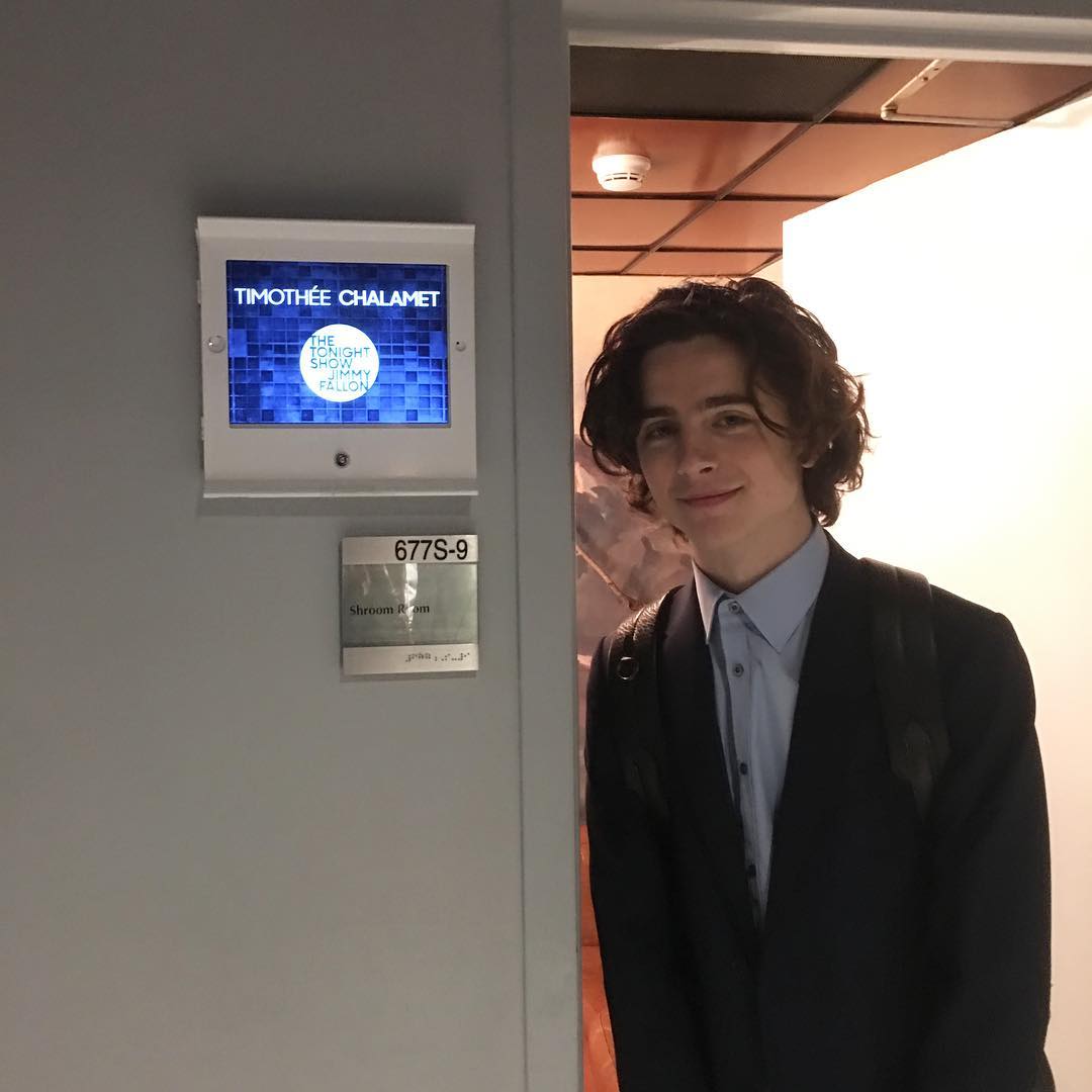 Timothee Chalamet photo #1047576