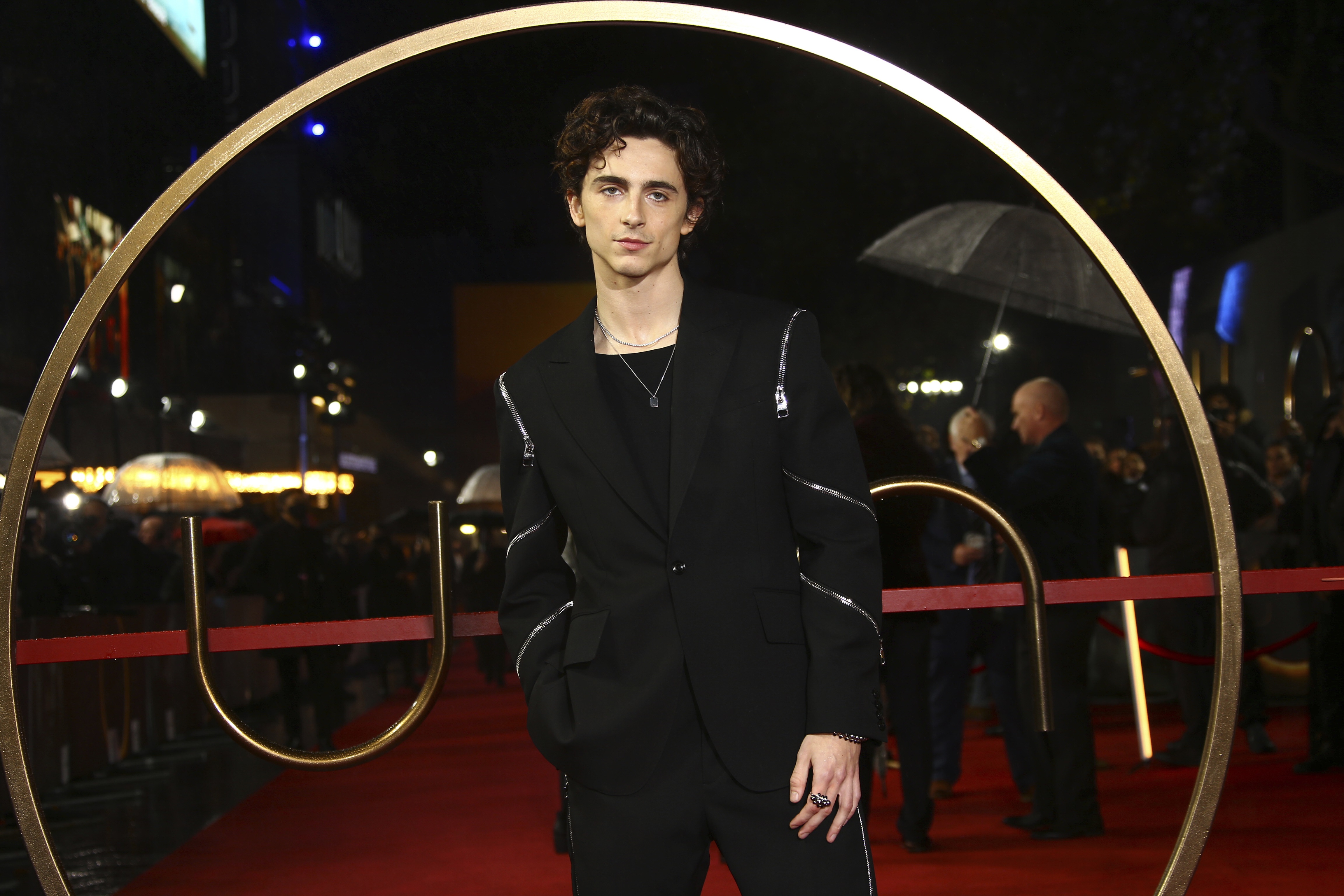 Timothee Chalamet photo #1002843