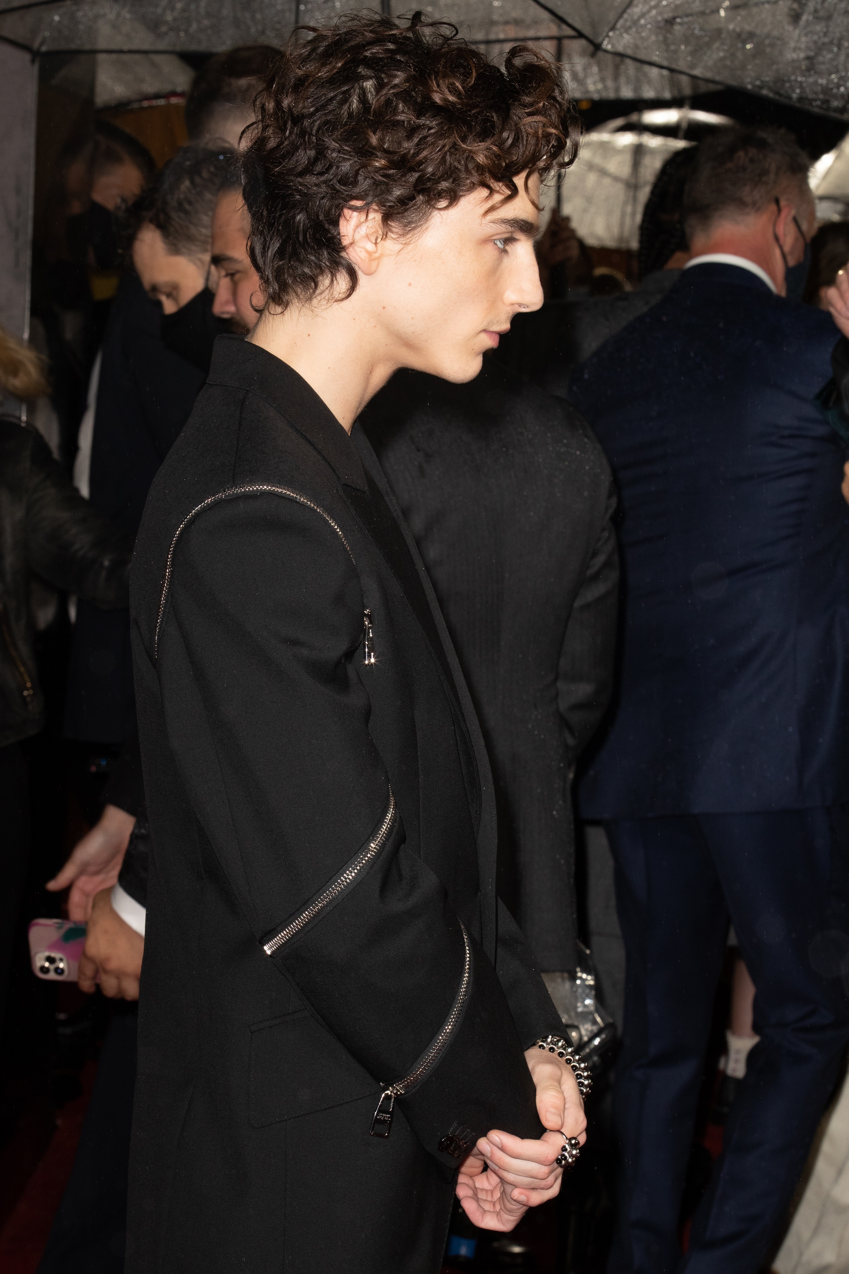 Timothee Chalamet photo #1002838