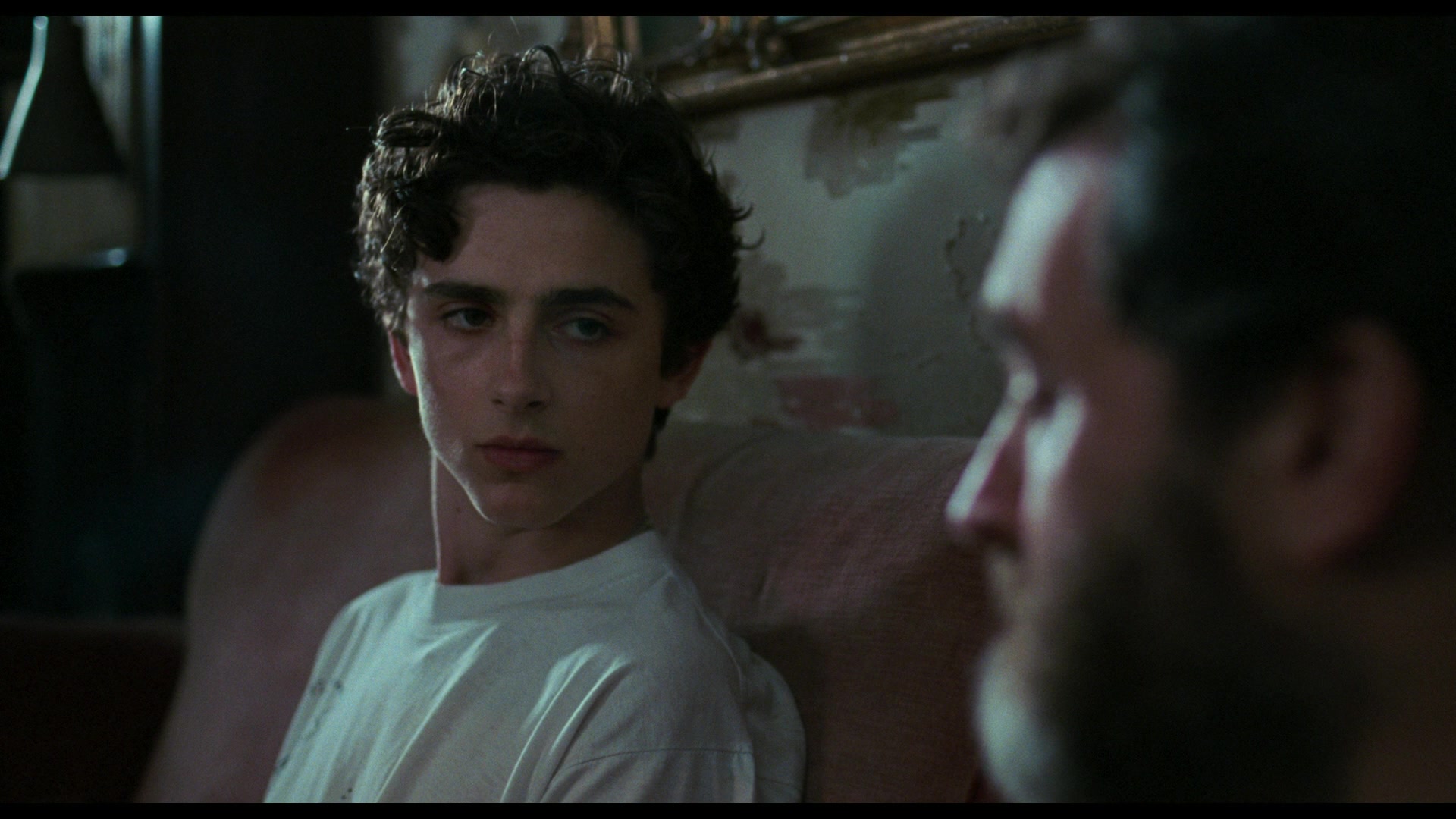 Timothee Chalamet photo #1058272