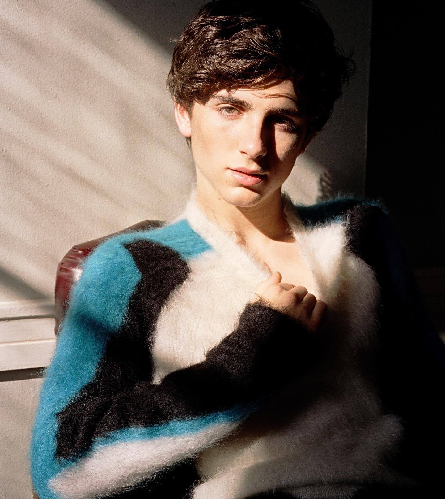 Timothee Chalamet photo #1047621