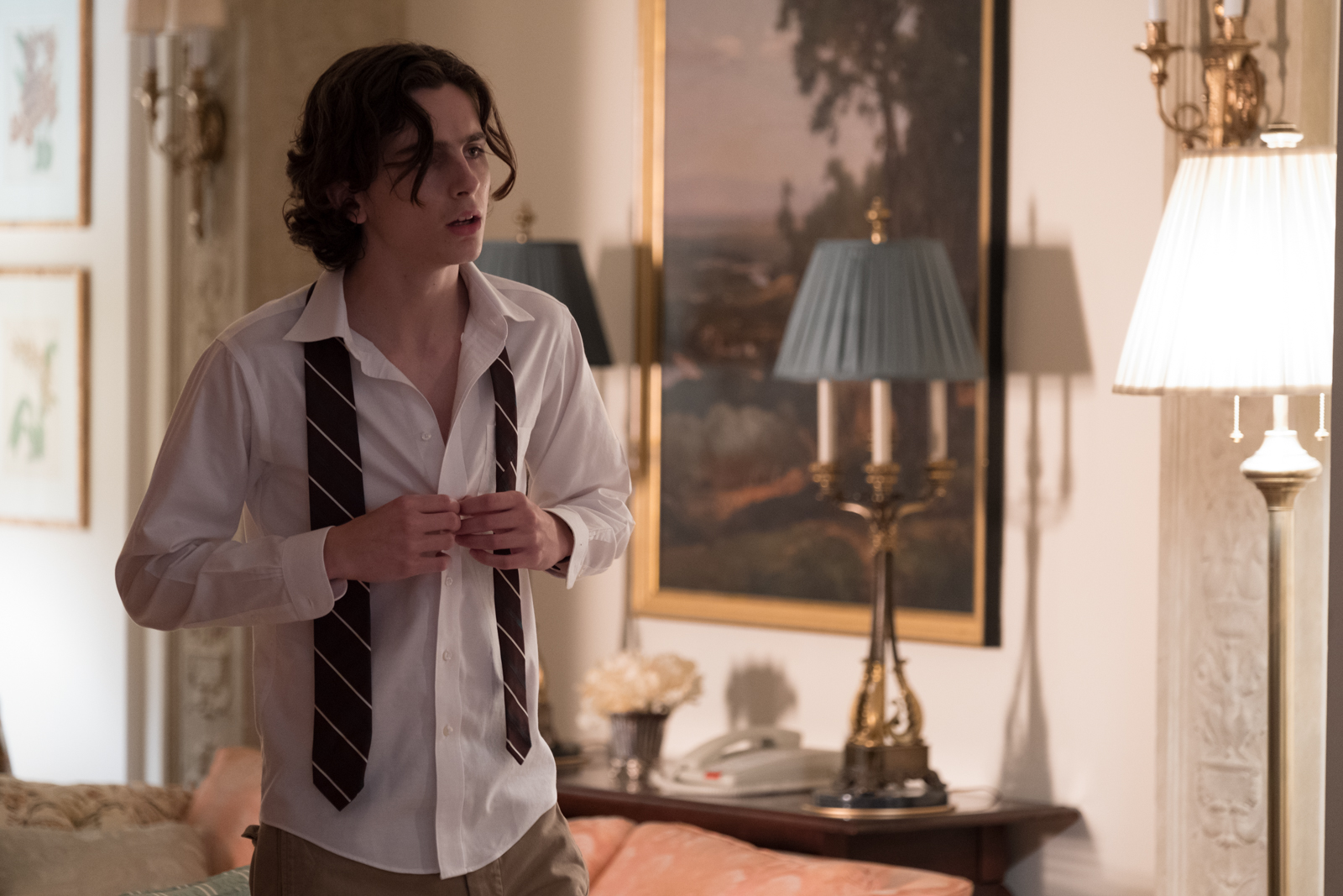 Timothee Chalamet photo #1044154