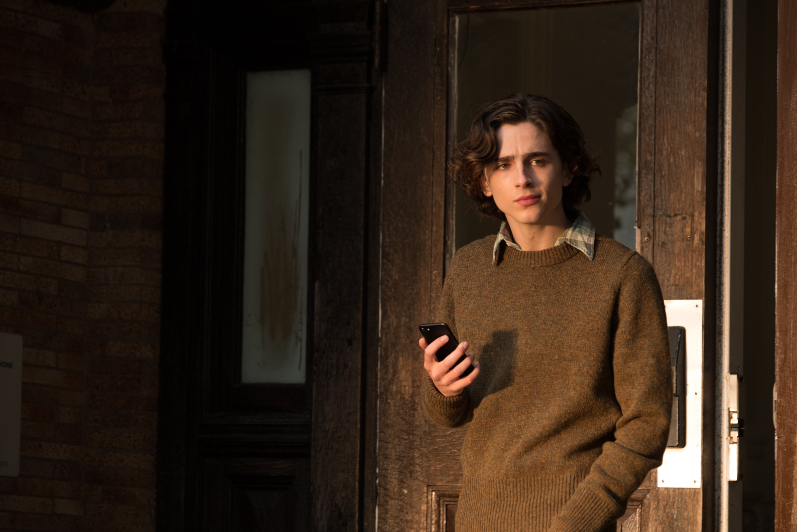 Timothee Chalamet photo #1044150