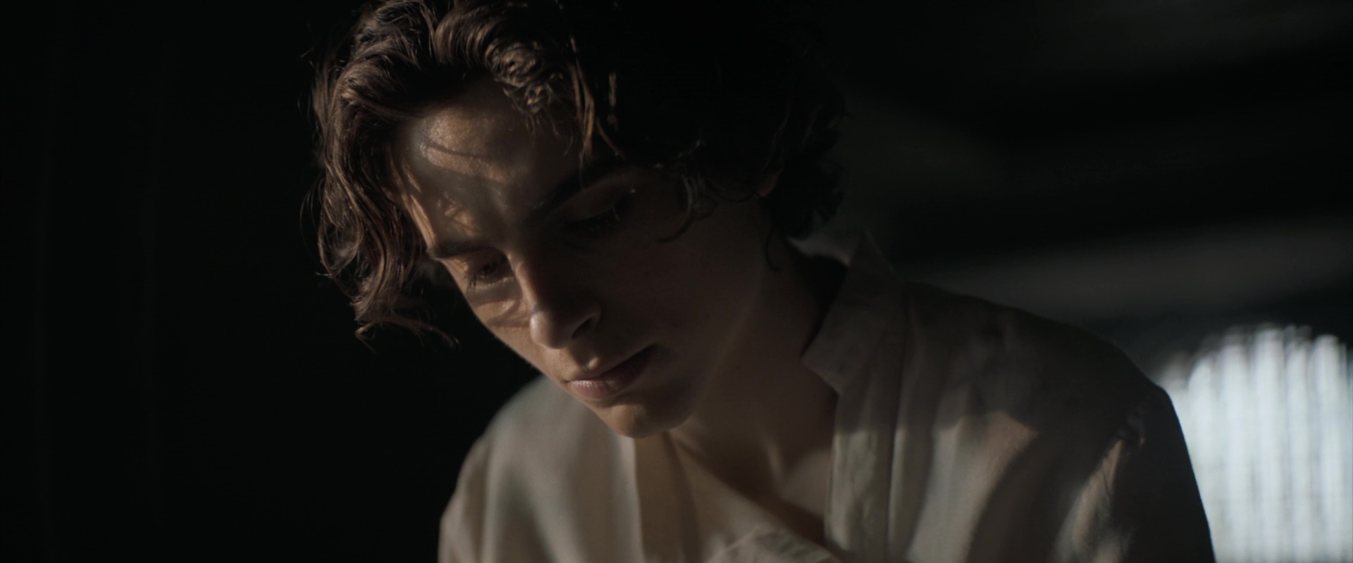 Timothee Chalamet photo #1052608