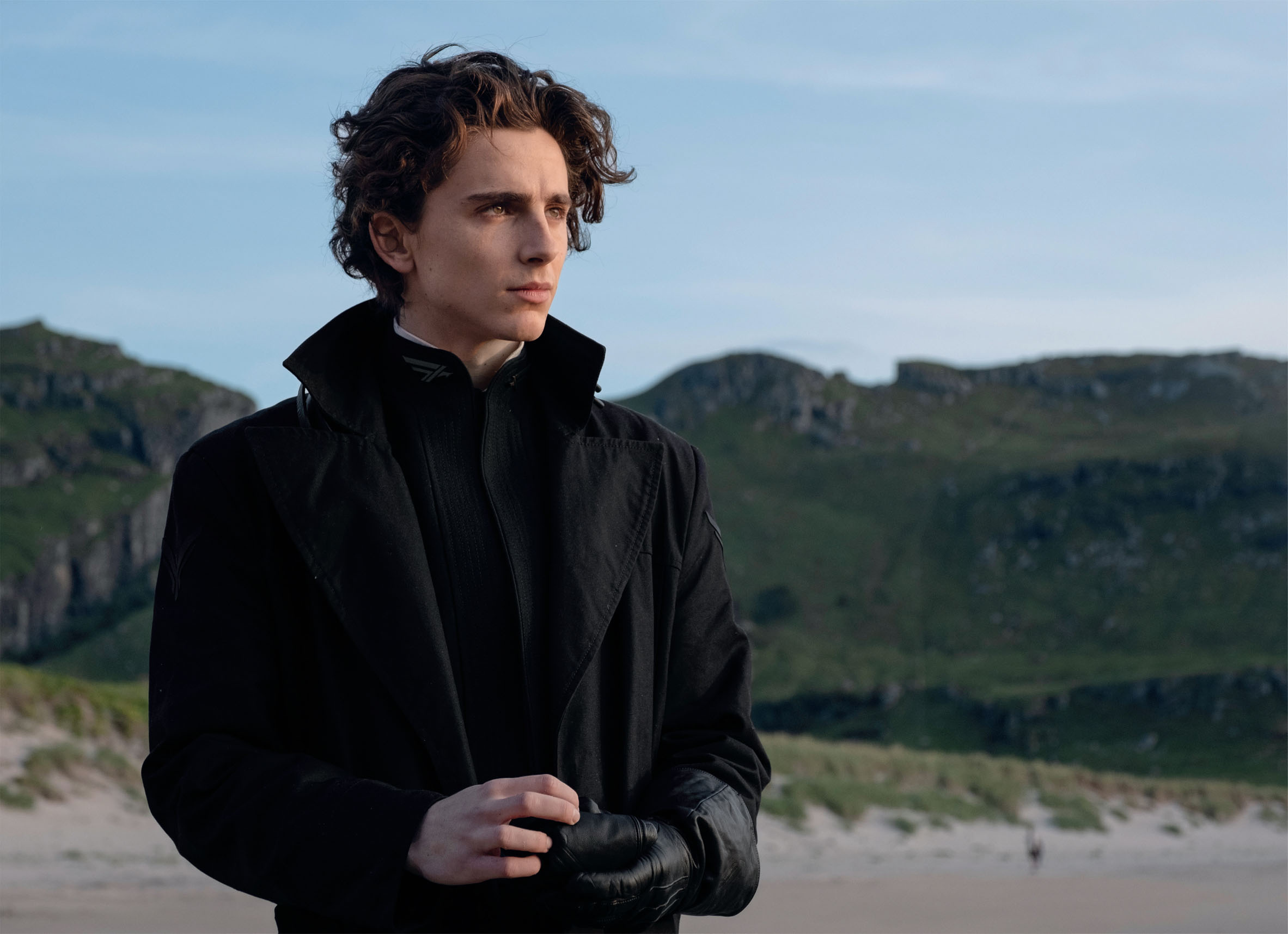 Timothee Chalamet photo #1067812