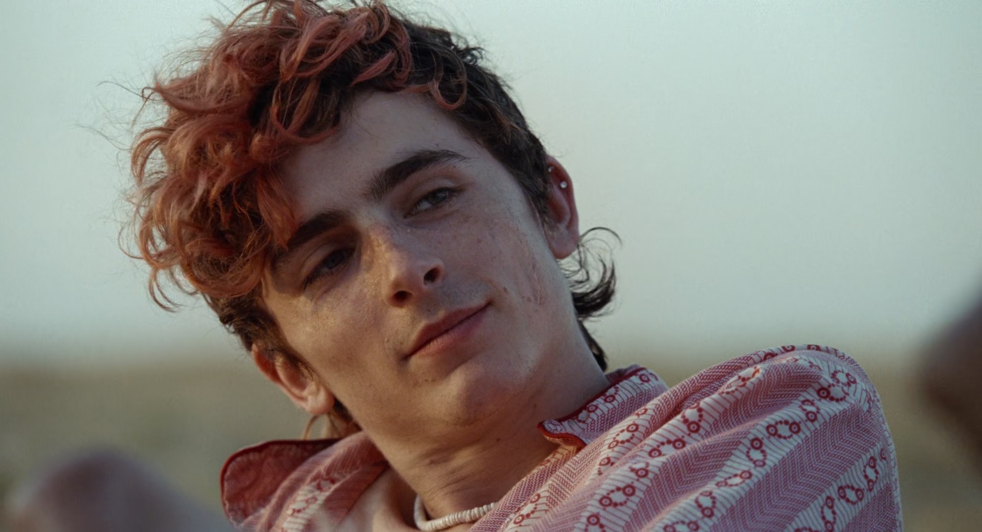 Timothee Chalamet photo #1044983