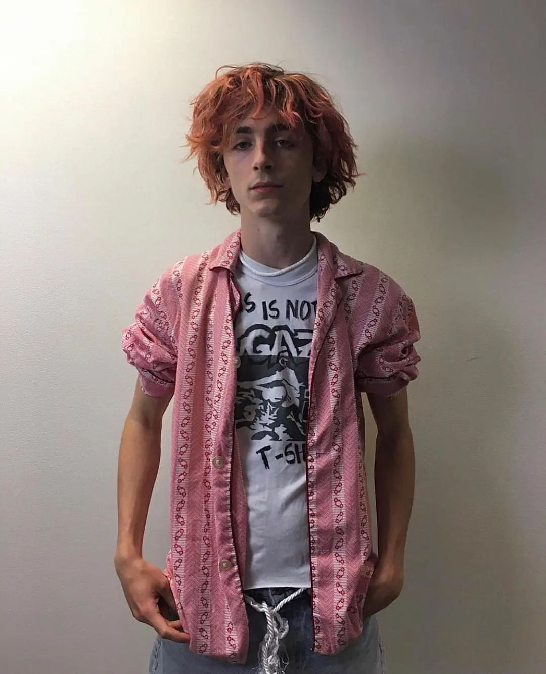 Timothee Chalamet photo #1050511